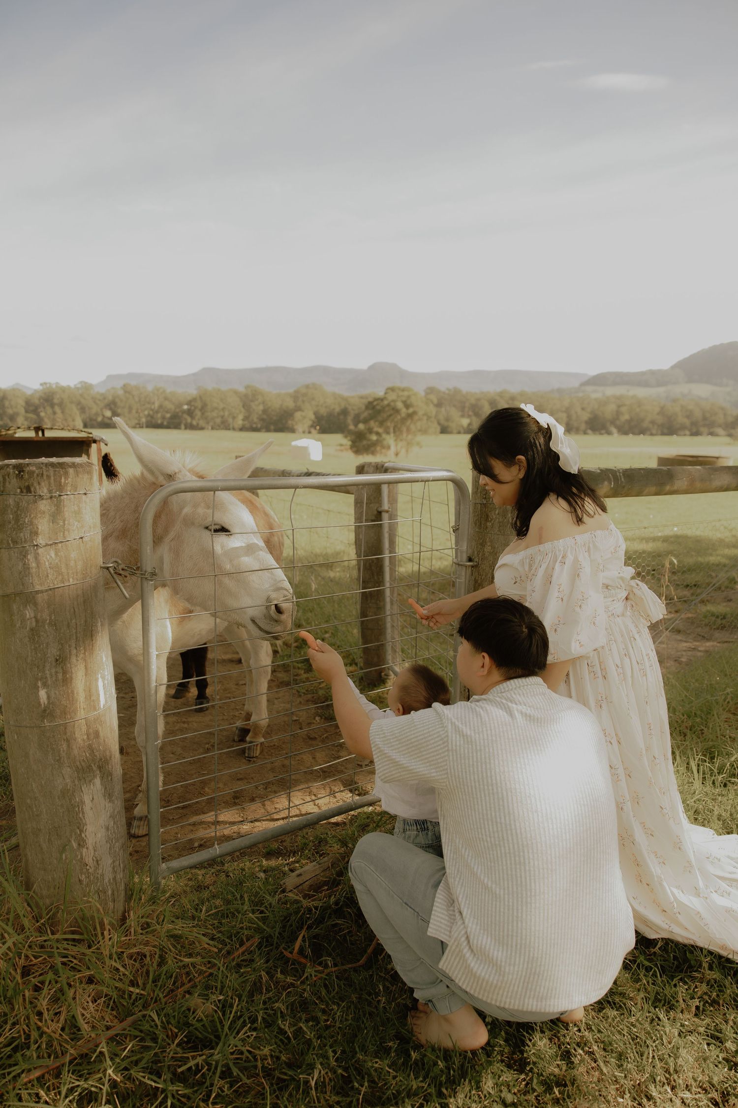 Couple in white feeding a donkey through a farm gate in a scenic rural landscape.