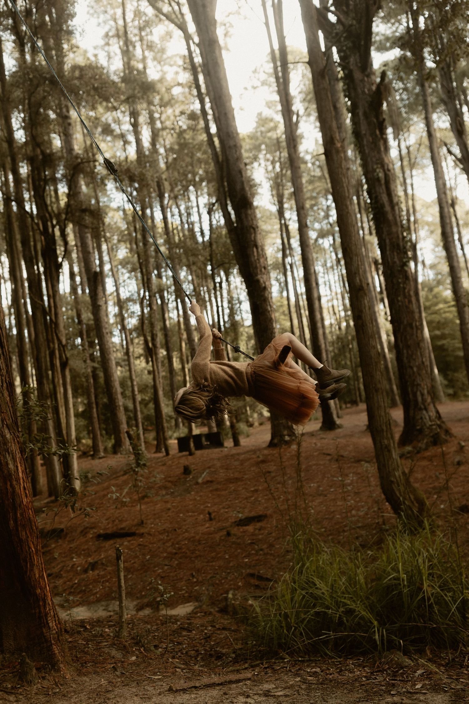 Multiple artistic shots capture tender moments between two people in a wooded forest setting.