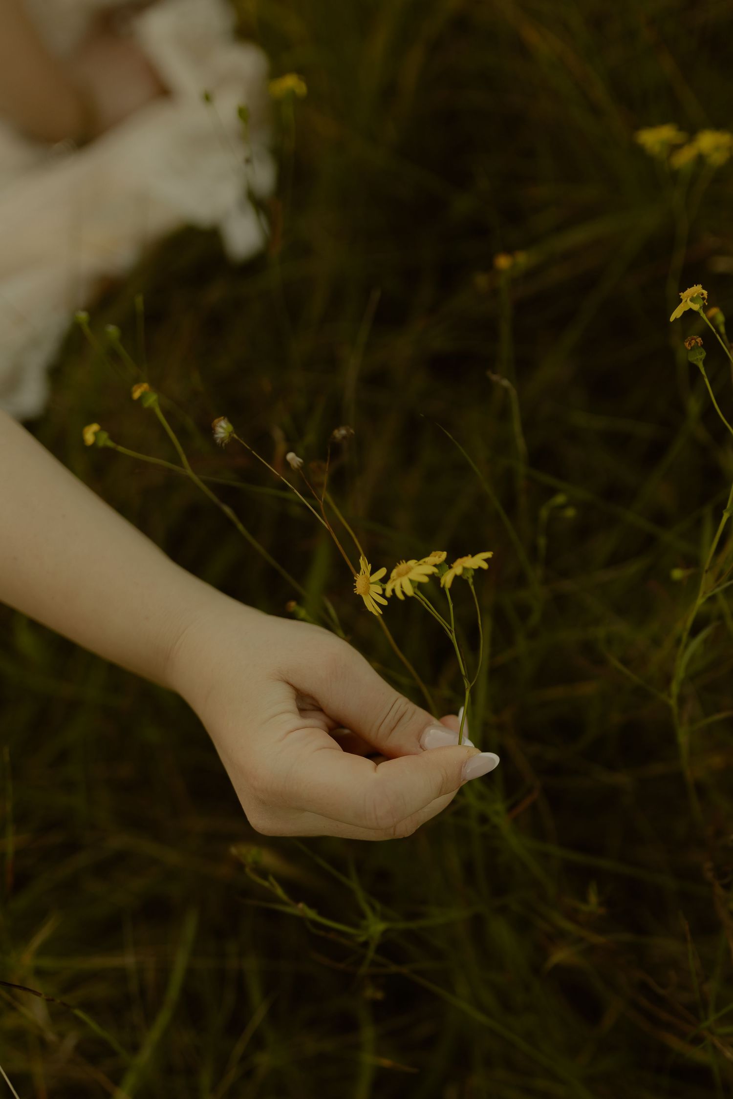 A delicate hand with manicured nails gently holds a small yellow wildflower among lush green grass in a meadow.