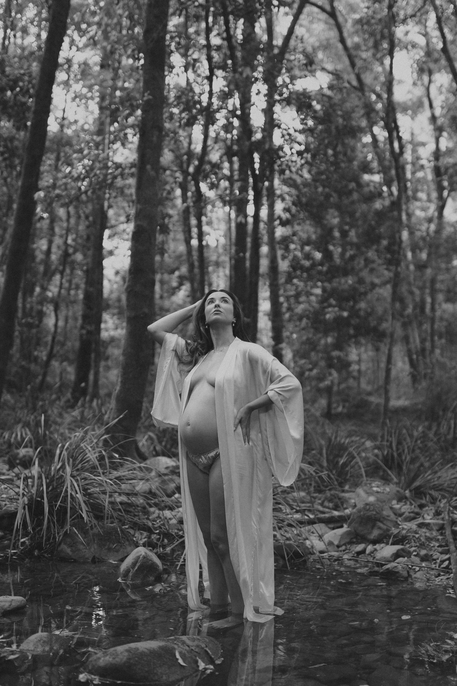 Black and white forest photography with dramatic lighting and ethereal mood.