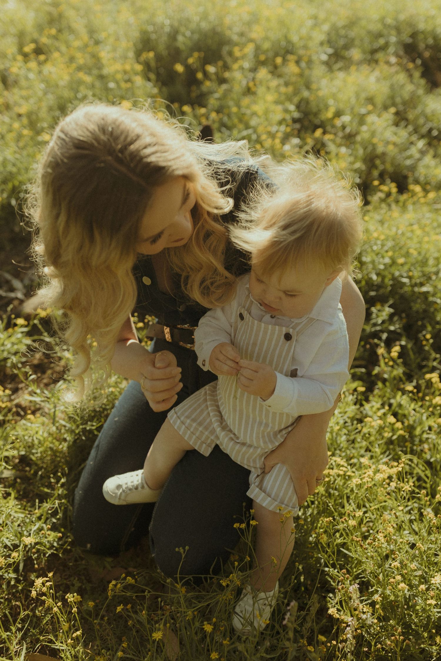 Intimate family moment captured in a sunlit meadow with wildflowers and golden light.