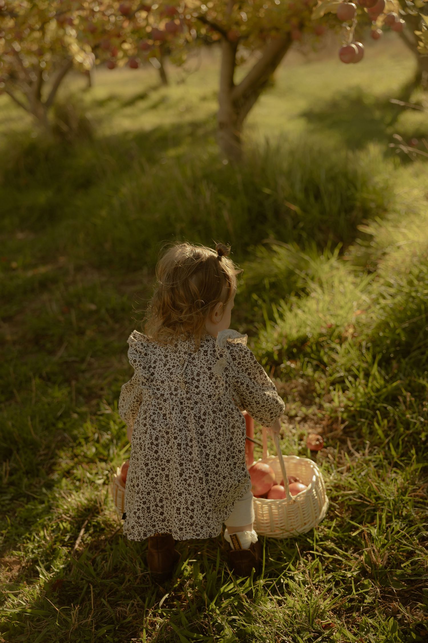 Outdoor family photography in Sydney, Central Coast, Blue Mountains, Wollongong and Kangaroo Valley, in field, farm, garden and countryside