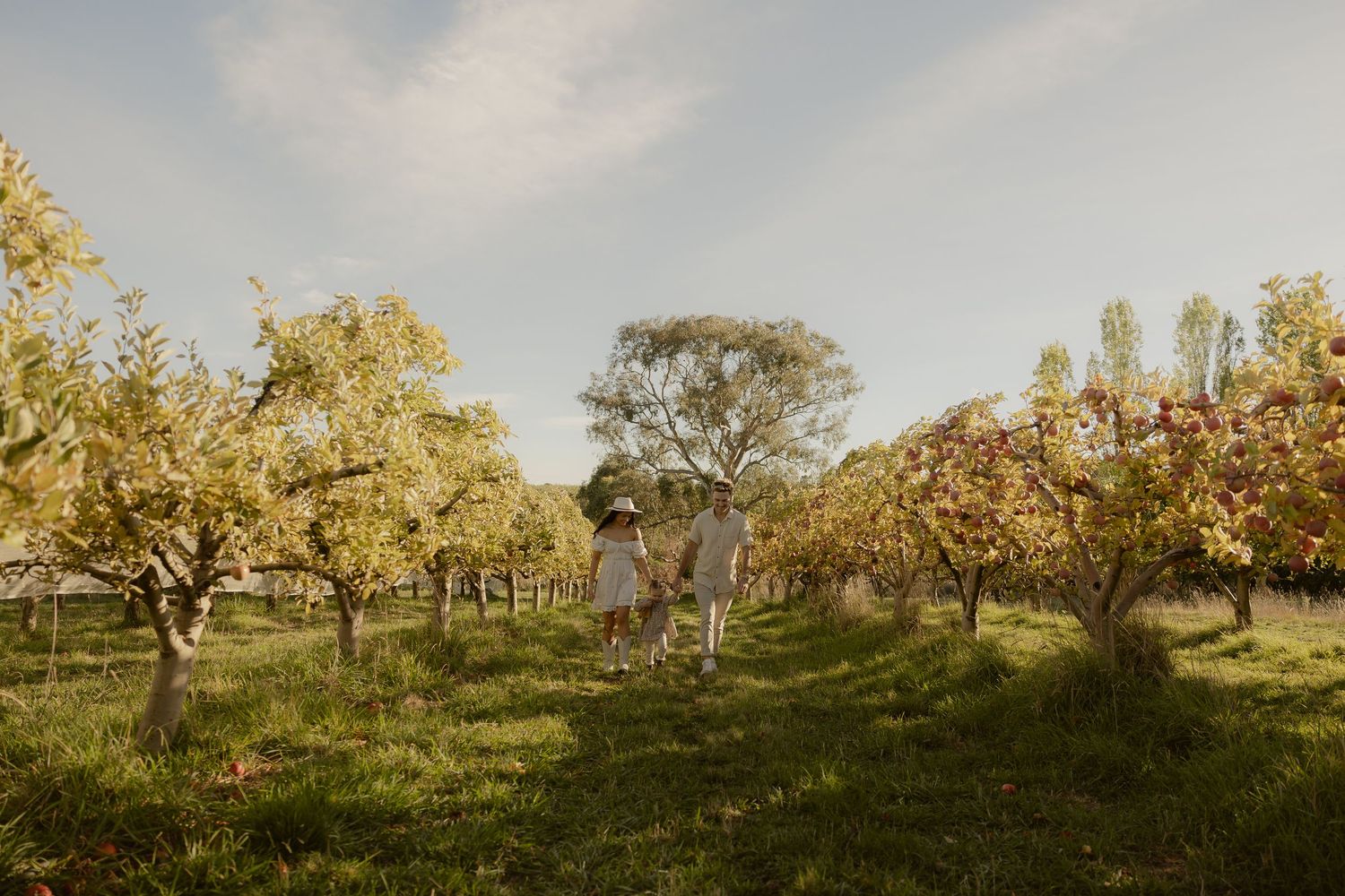 Outdoor family photography in Sydney, Central Coast, Blue Mountains, Wollongong and Kangaroo Valley, in field, farm, garden and countryside