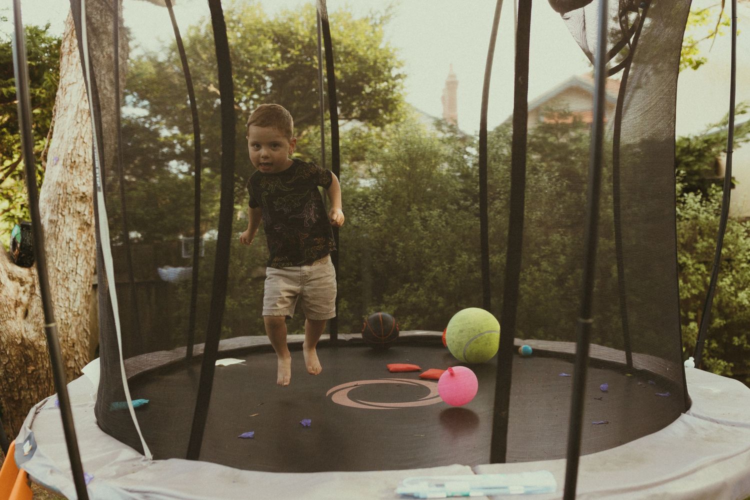 Large backyard trampoline surrounded by trees and greenery at sunset.