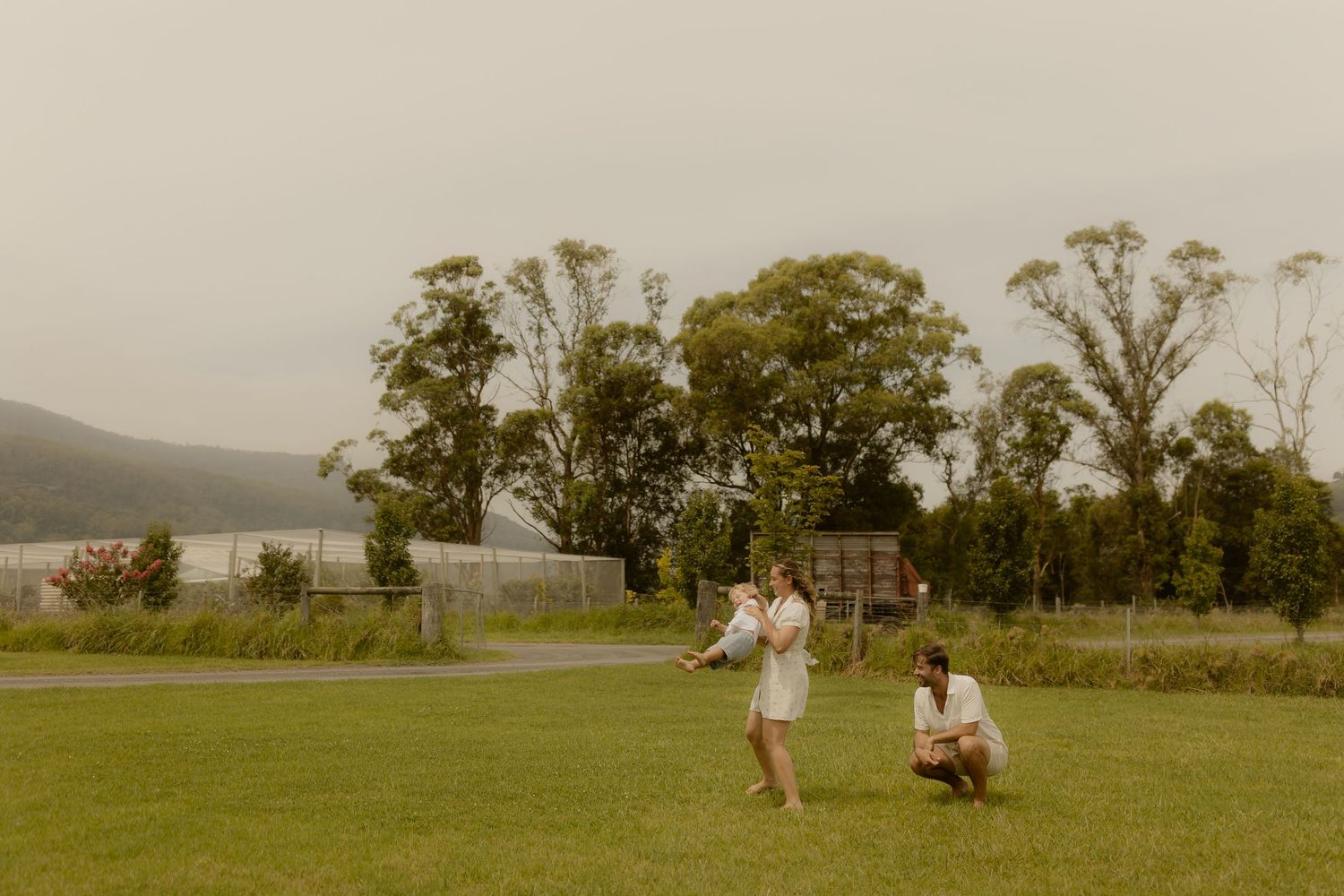 Panoramic view of a family playing in a grassy field near a rural home.