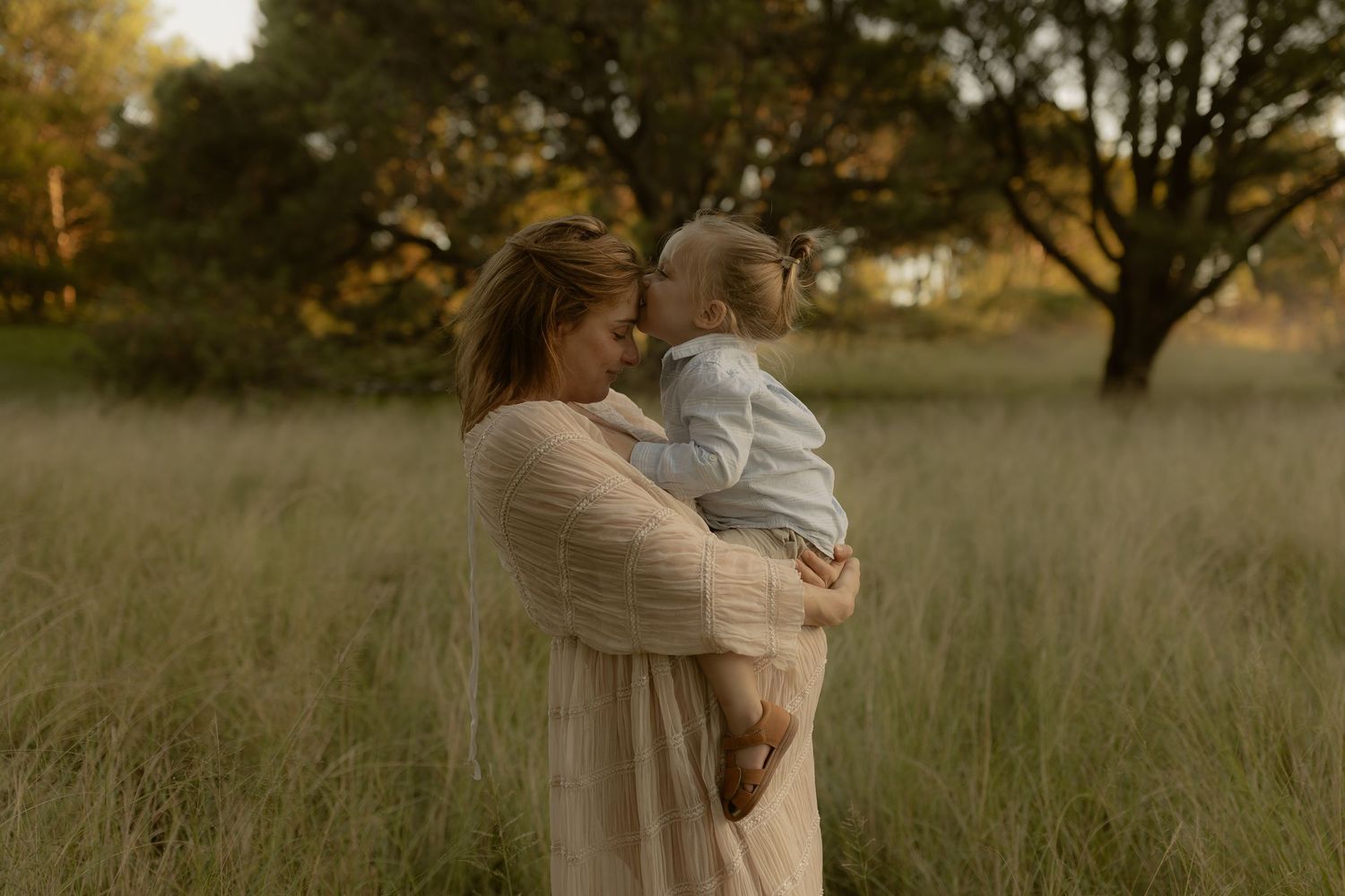 A couple embraces in a golden autumn field during sunset, creating a romantic silhouette against the warm light.