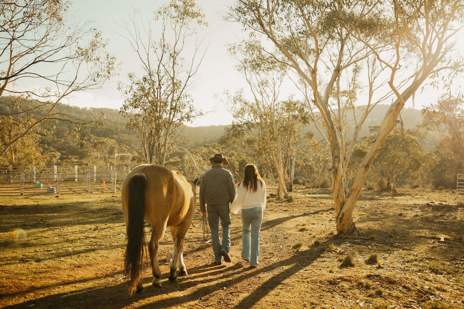 Two people walking with a horse along a sunlit trail through eucalyptus trees in the countryside.