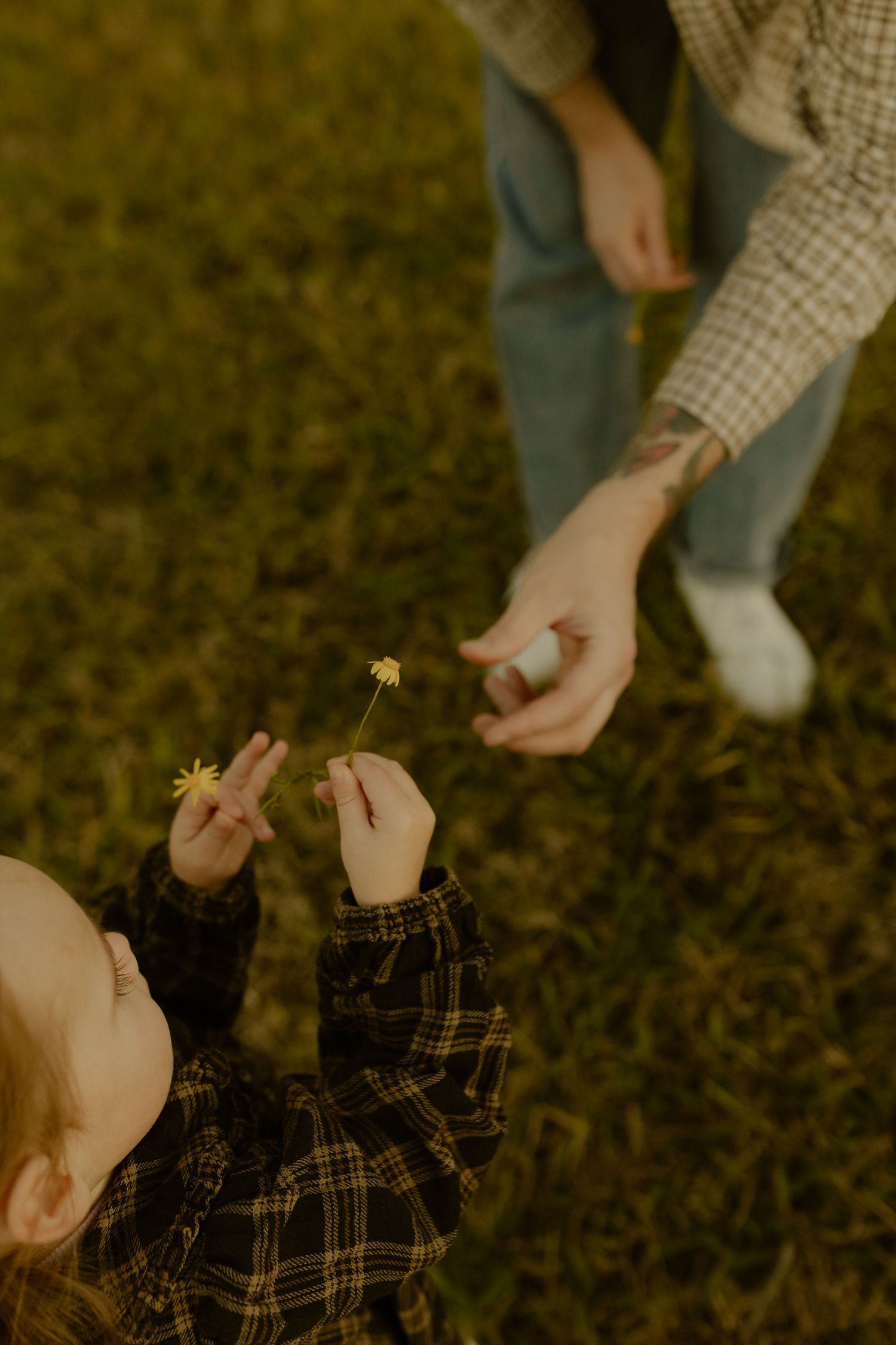 A toddler in plaid holds a dandelion while a tattooed adult reaches toward them on a green grass lawn.