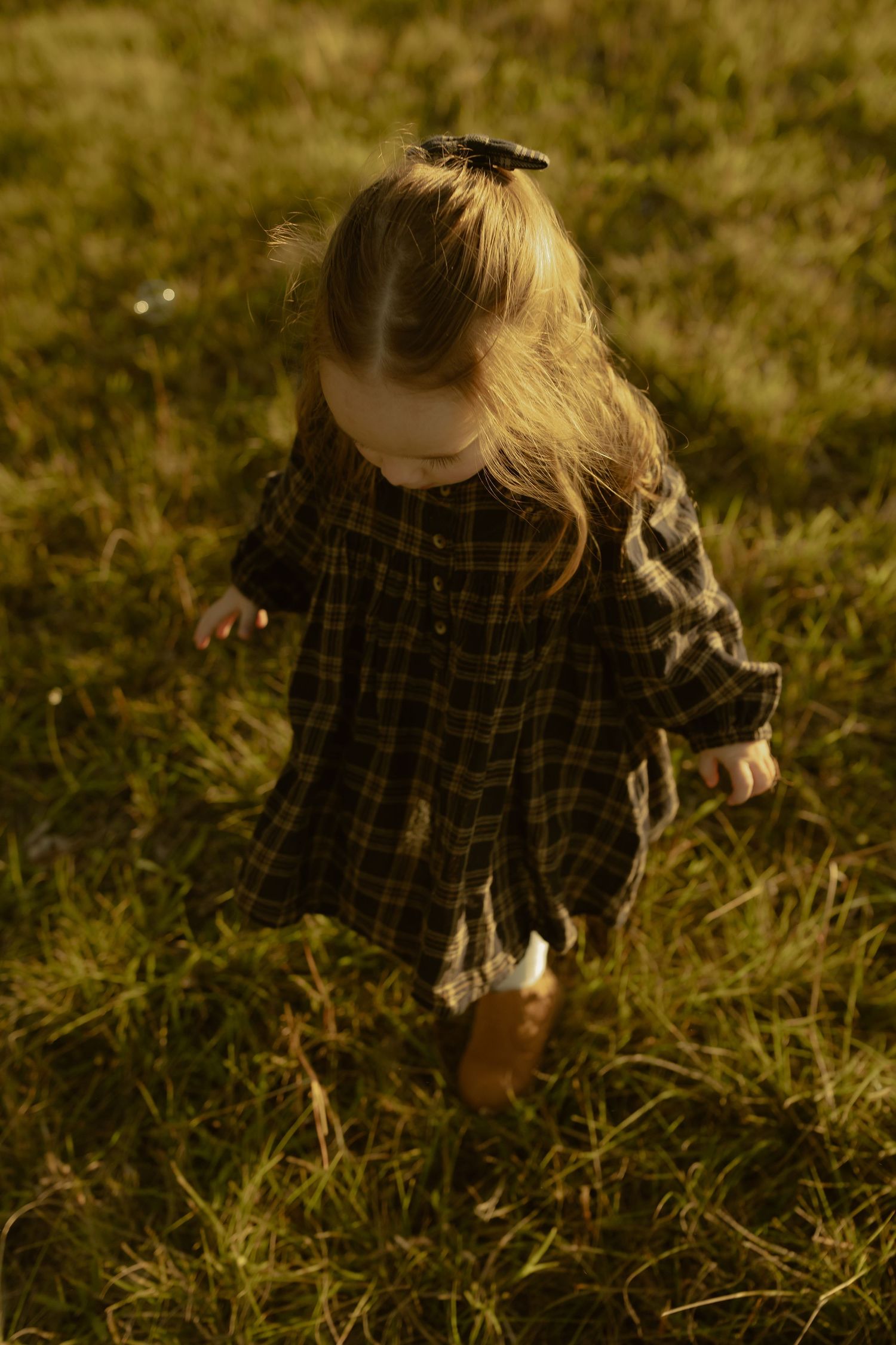 A little girl in a plaid dress walks through green grass in golden sunlight, hair clip in her blonde hair.