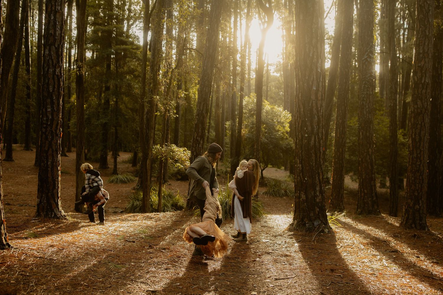 Sunlight streams through tall trees in a forest path creating long shadows on the ground during golden hour.