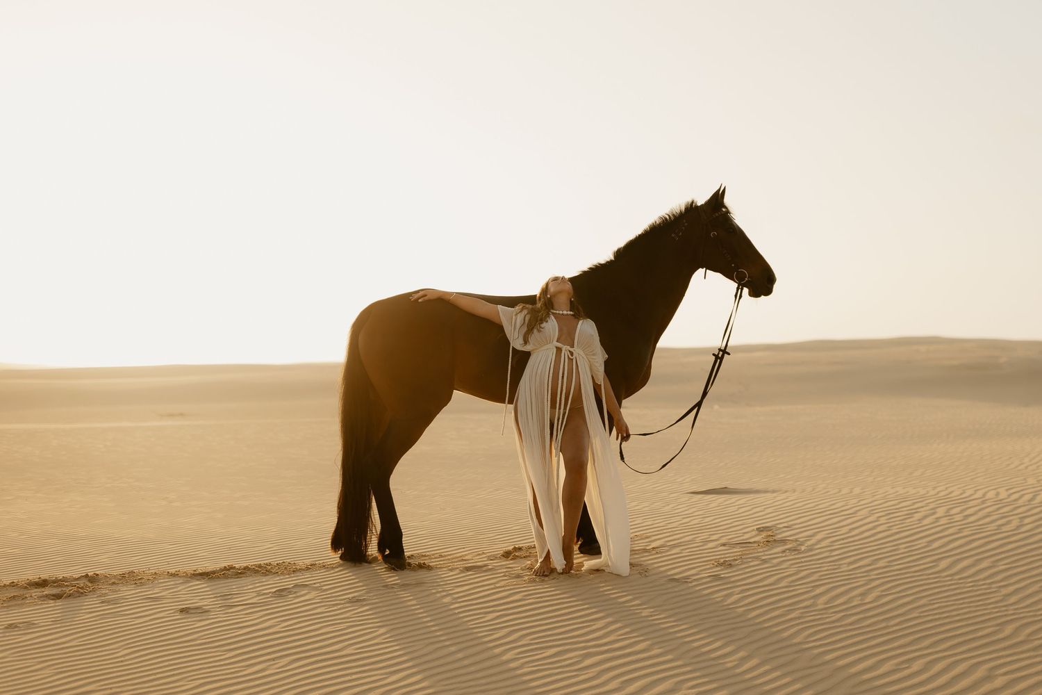 Silhouetted figures of a horse and person against a desert landscape during golden hour.