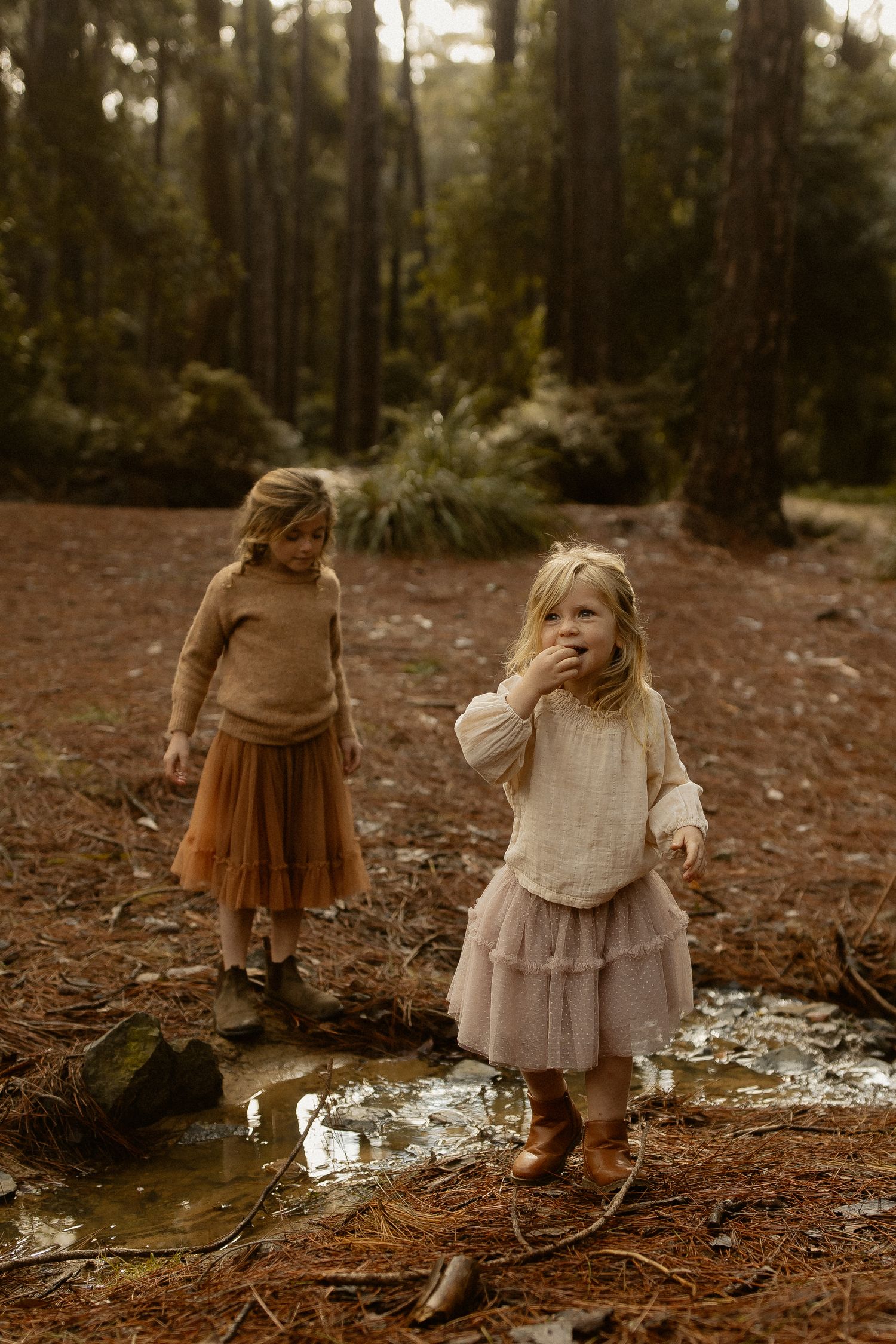 Ethereal forest photoshoot featuring vintage-styled outfits against a misty pine forest backdrop.