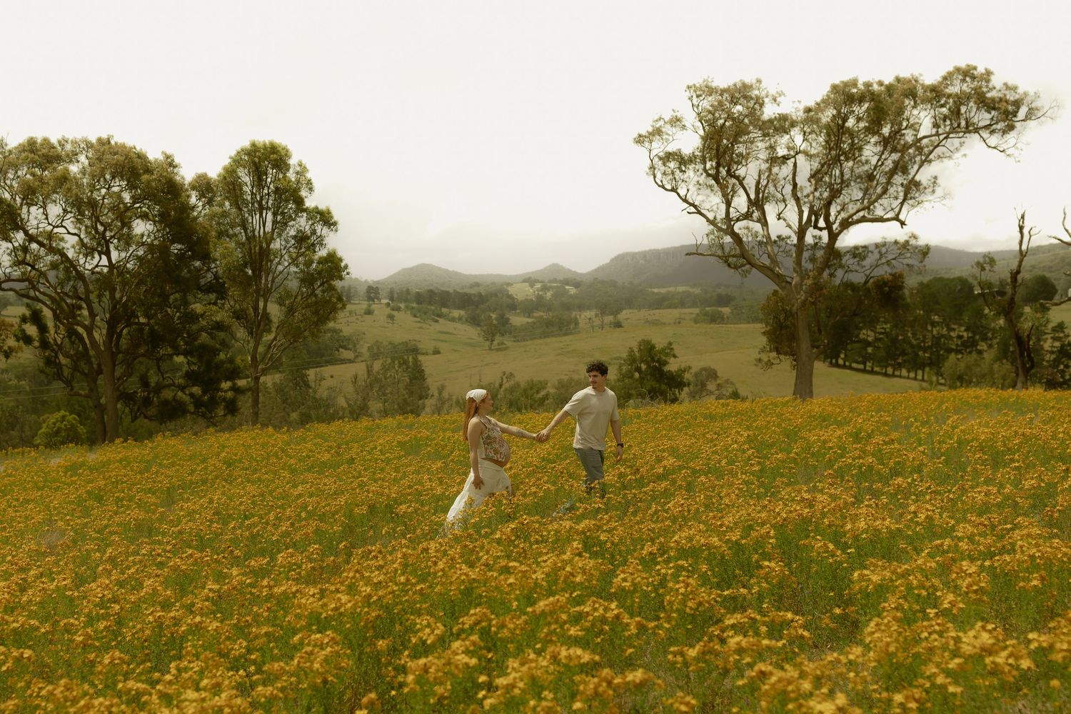 Couple holding hands in a vibrant yellow wildflower field with lush green trees and misty hills in the background.