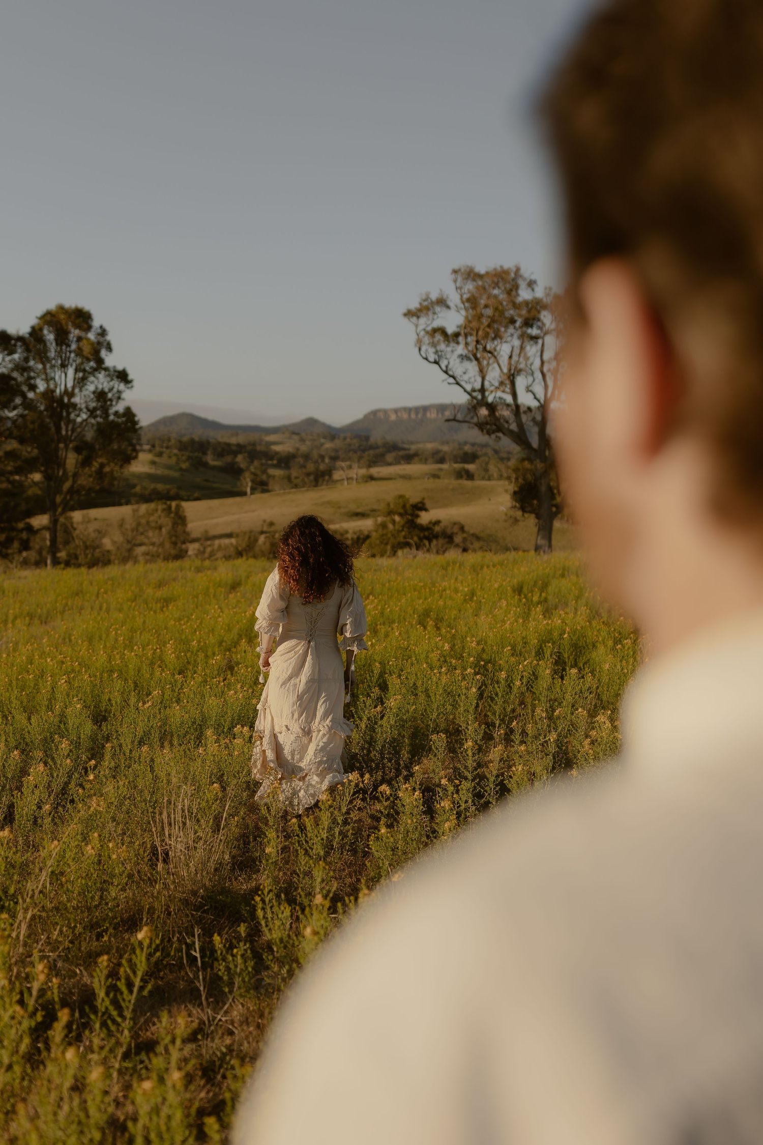 Dreamy sunset scene in a wild meadow with mountains on the horizon.