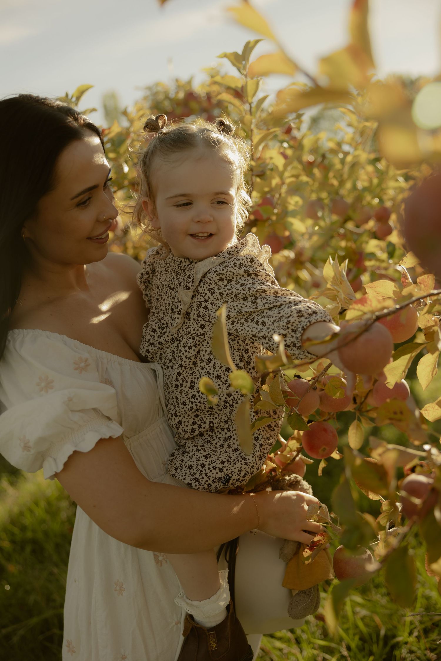 Outdoor family photography in Sydney, Central Coast, Blue Mountains, Wollongong and Kangaroo Valley, in field, farm, garden and countryside