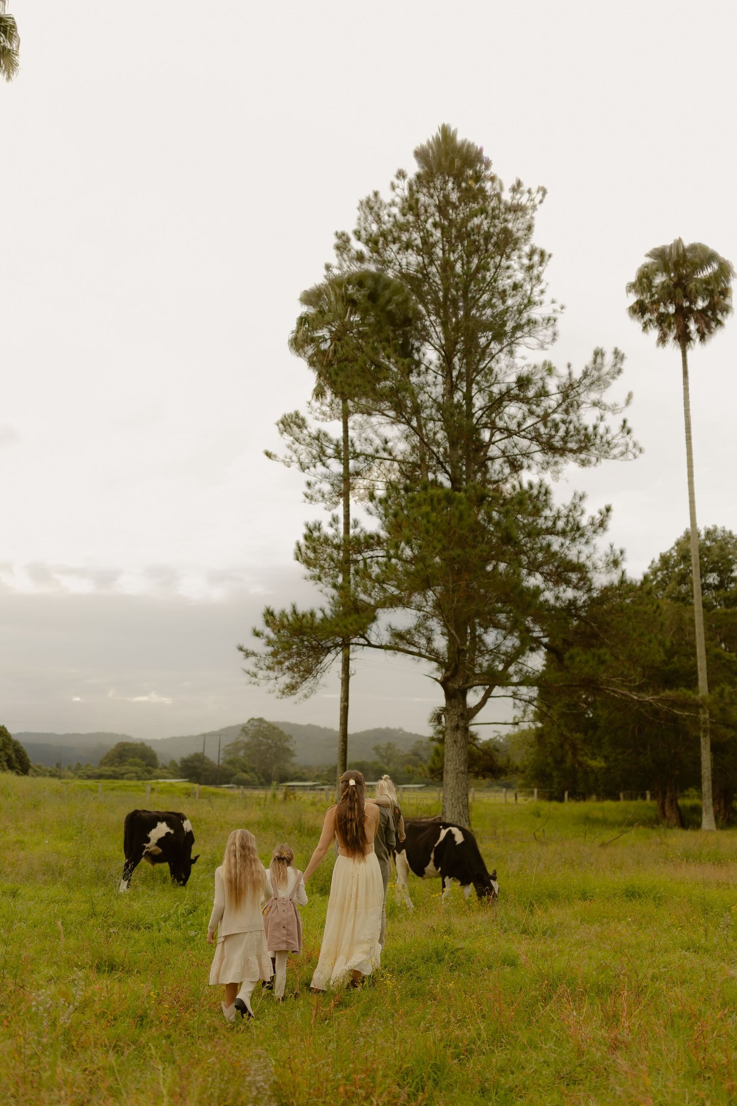 Three children walk toward black and white cows grazing in a lush green farm field with tall pine trees.