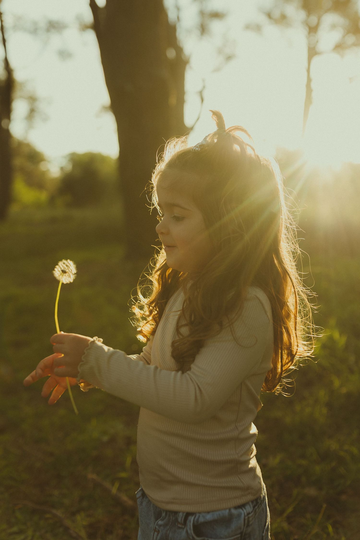 A child gently blowing dandelion seeds in a magical golden hour setting.
