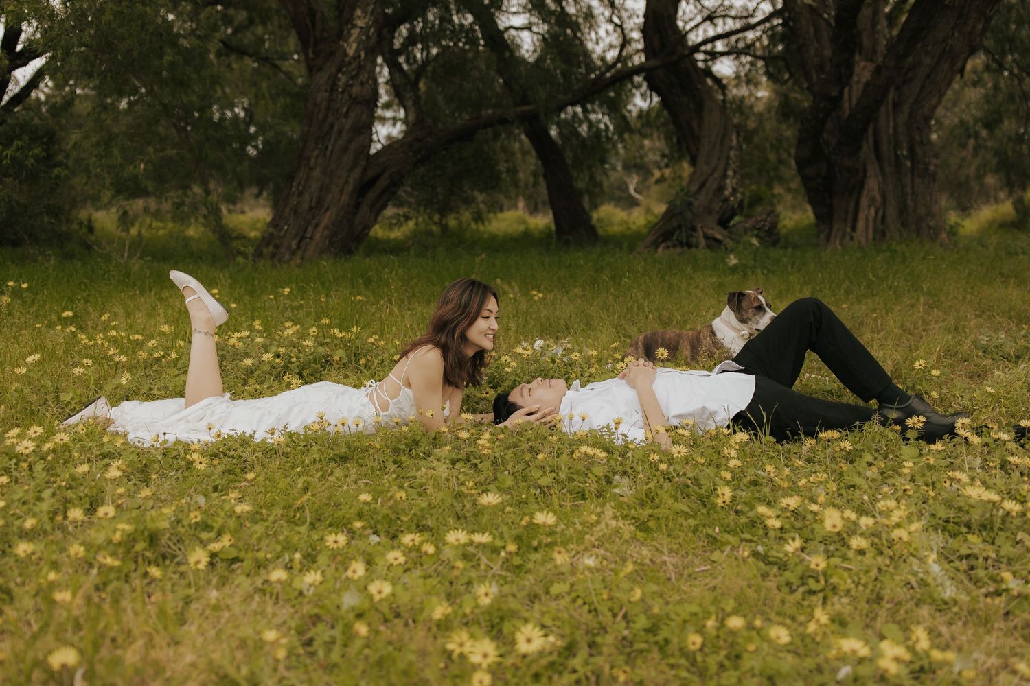 A sequence of photos shows a couple lying in a grassy meadow with yellow flowers on a sunny day.