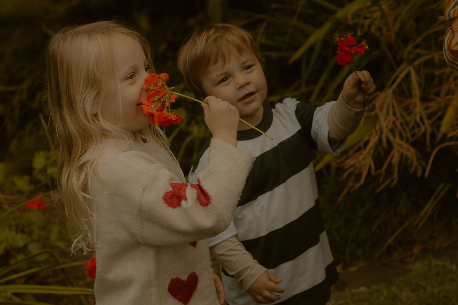 Two young children holding red flowers outdoors, girl in heart sweater and boy in striped shirt exploring nature together.