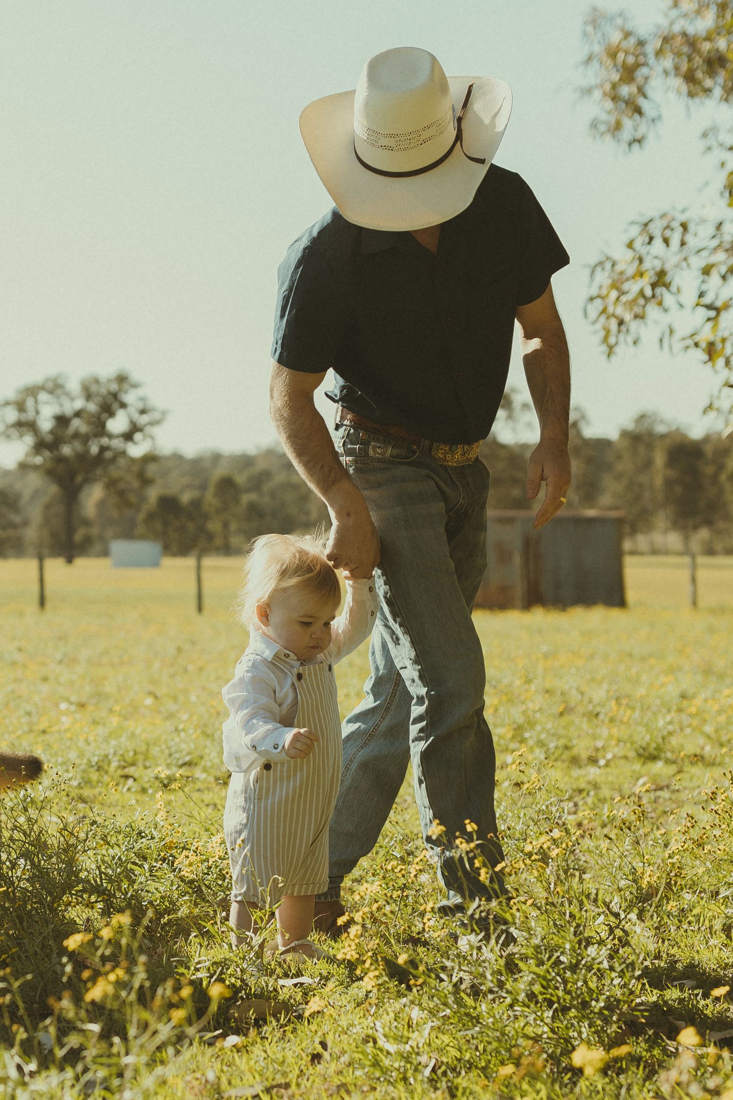 A toddler in white shorts walks through a sunny wildflower field alongside someone wearing a cowboy hat.