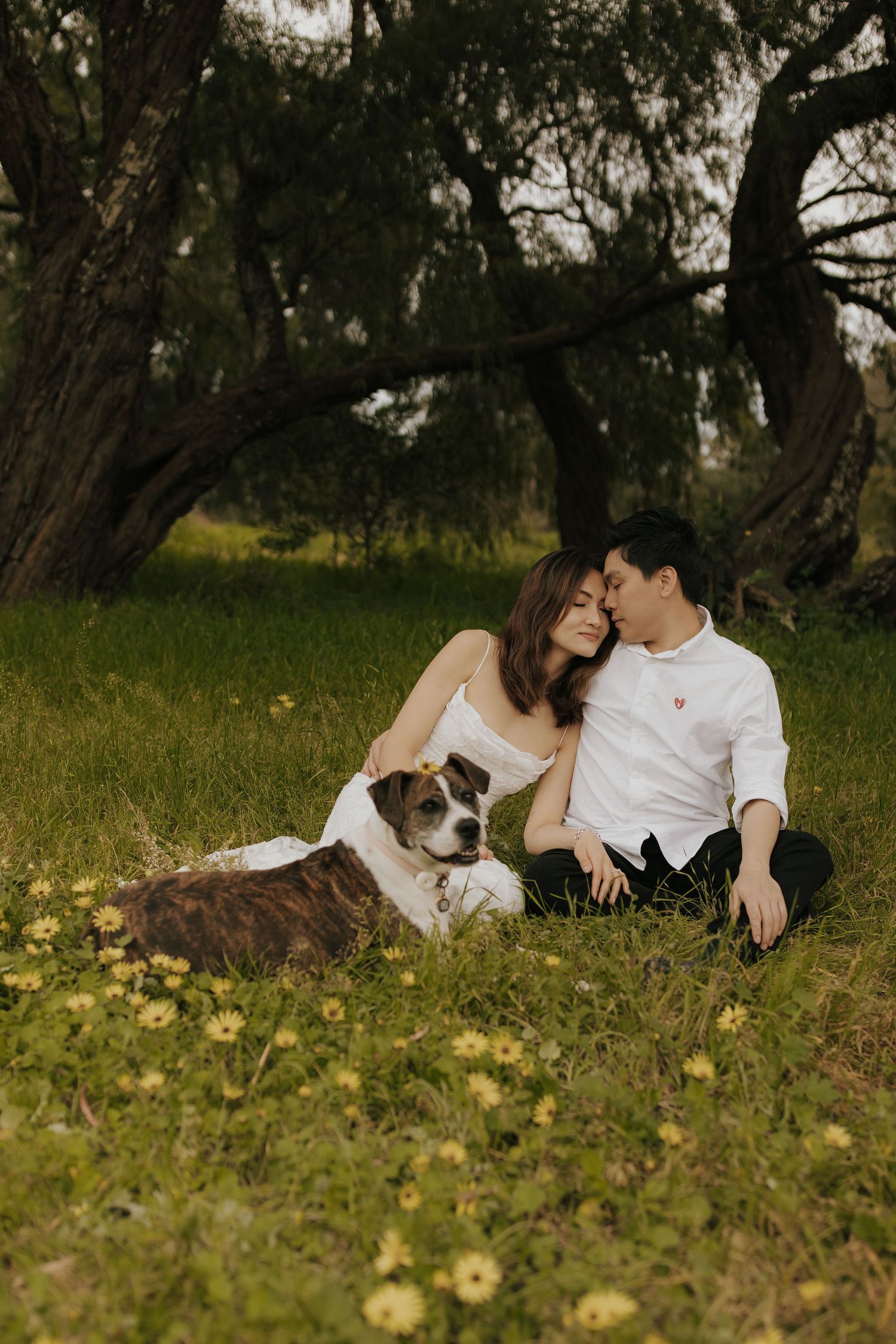 Couple relaxing on grass with their dog among yellow wildflowers in a natural outdoor setting.
