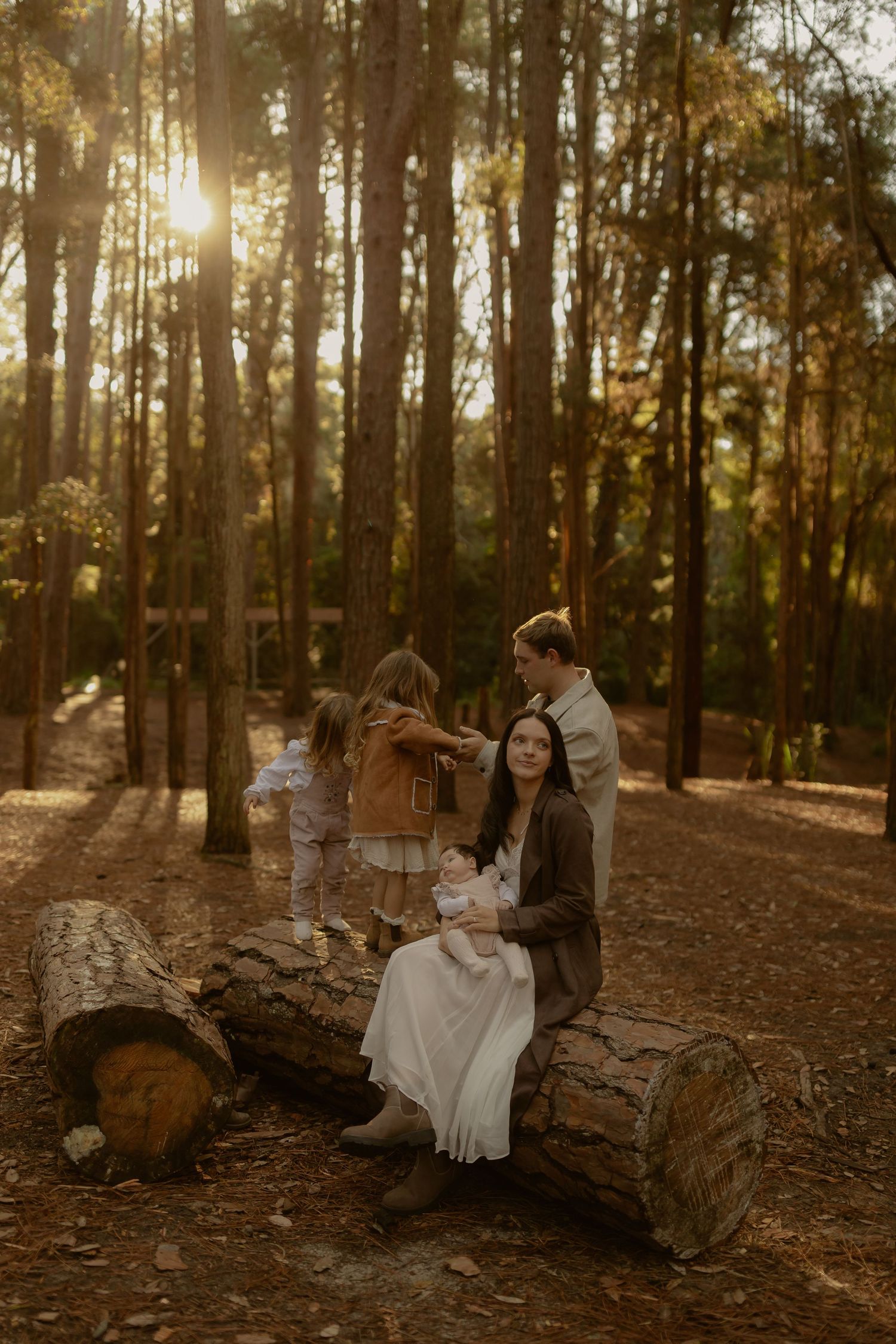 Family of four sits on fallen logs in sun-drenched pine forest at golden hour.