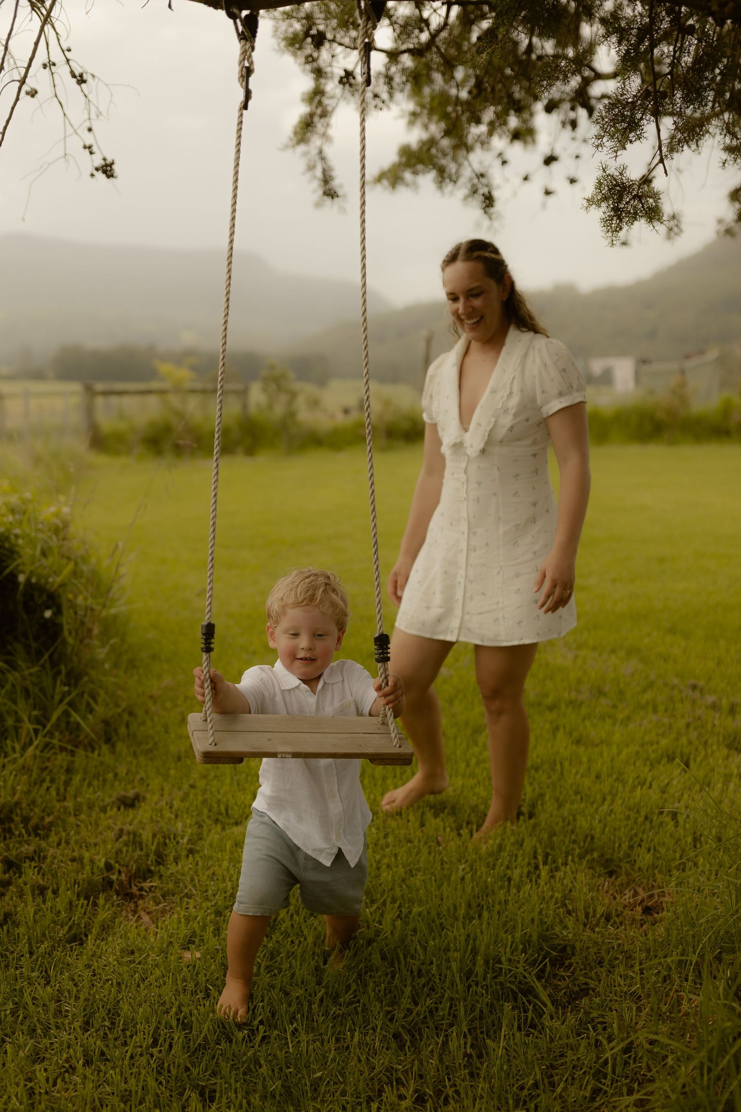 A tree swing scene in a lush green field with mountains visible in the background.