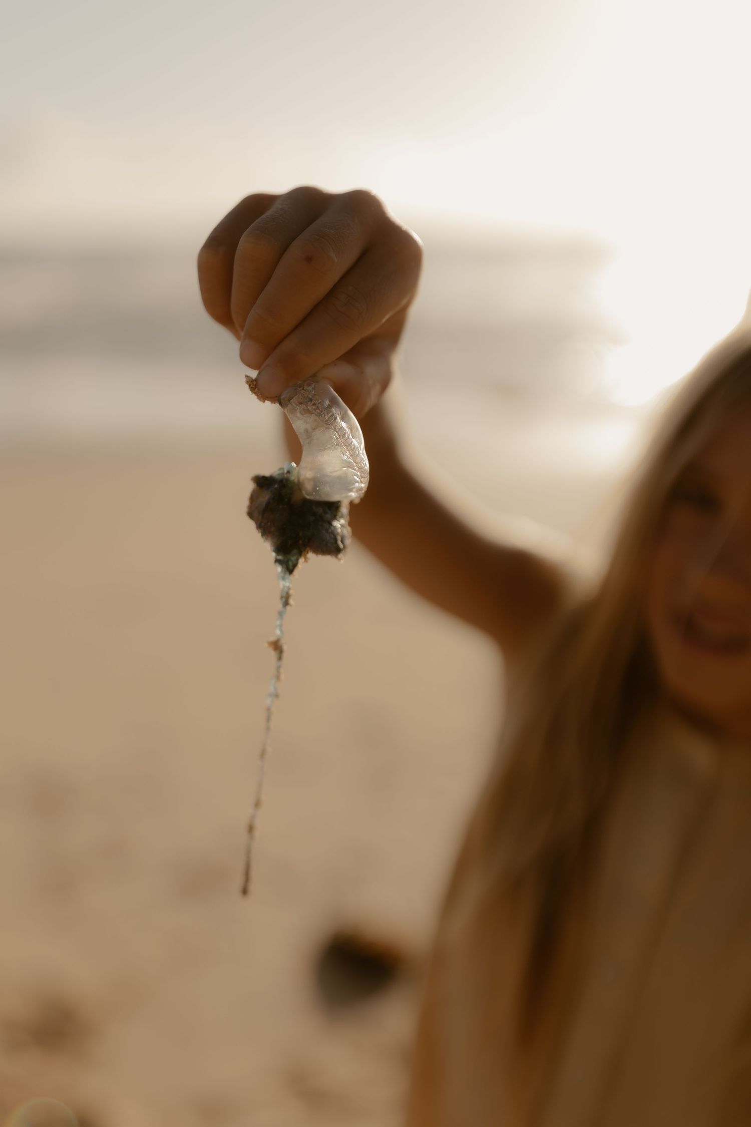 Close-up of hand holding wet seaweed dripping with water against blurred beach background.