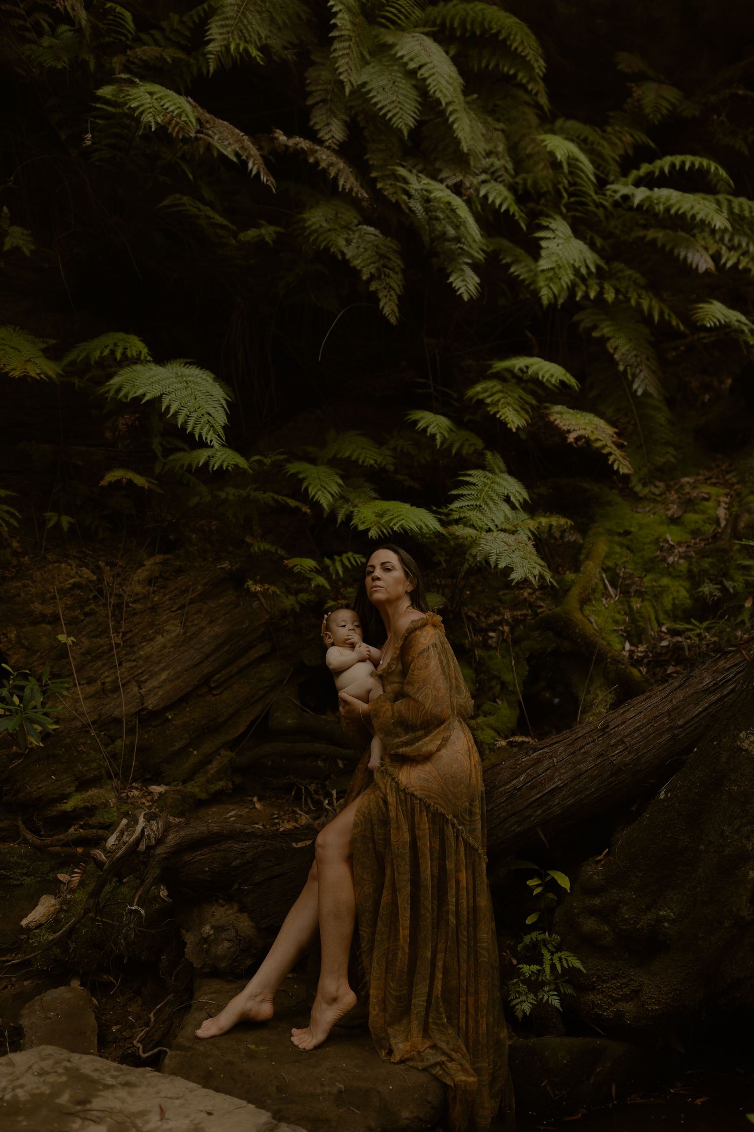 A figure in a brown dress reclines on a fallen log surrounded by lush ferns in a moody forest setting.