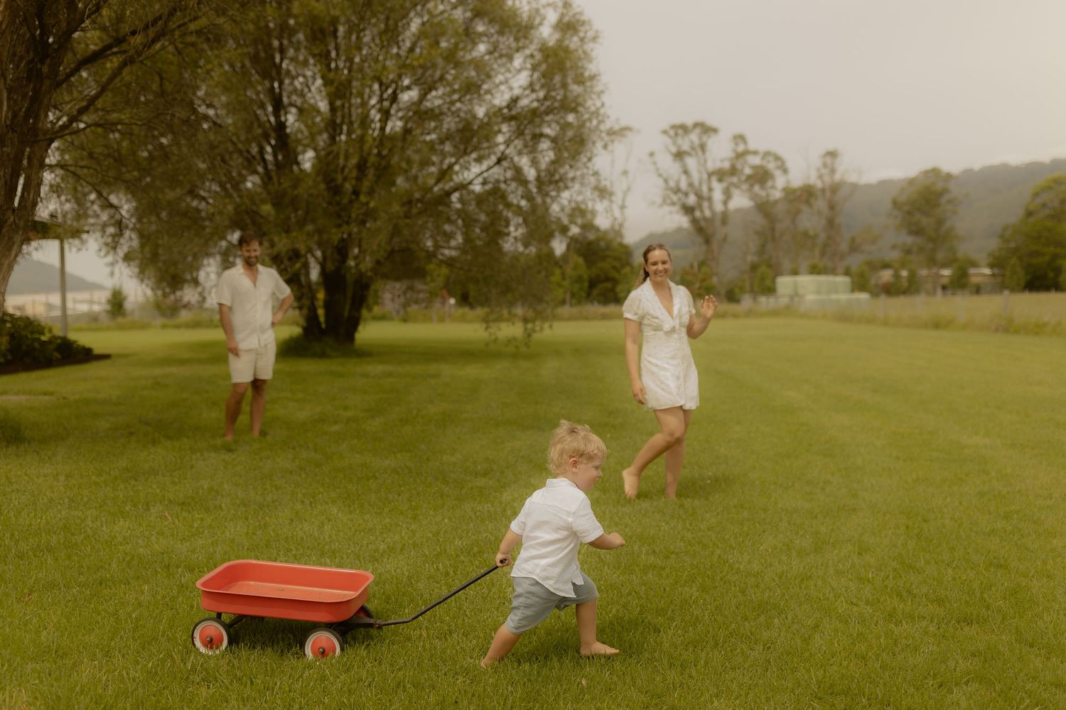 A red wagon sits on grass with trees in the background.