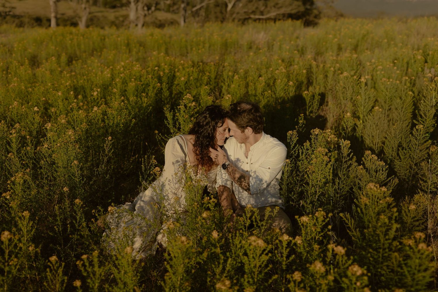 A couple shares an intimate moment in a golden field of wildflowers during sunset.