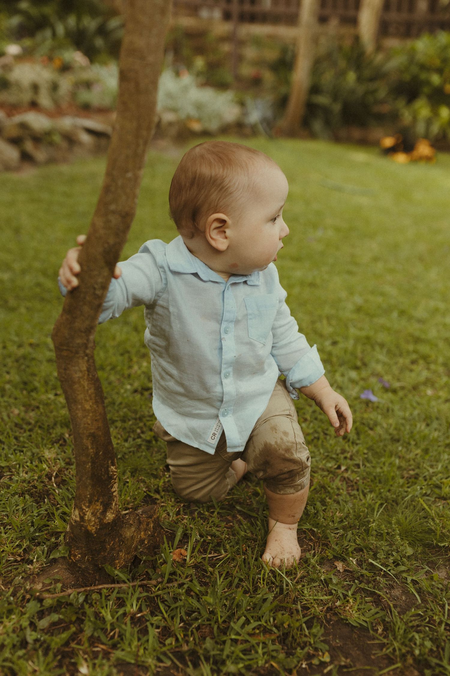 Baby in light blue shirt and brown pants explores garden ground near tree trunks on grassy lawn.