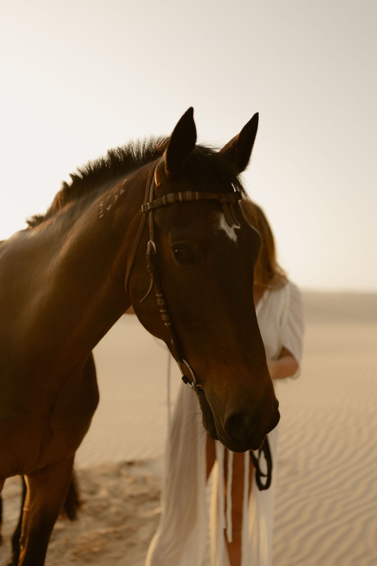 Close-up profile of a dark horse with person in white standing in desert sand during sunset.