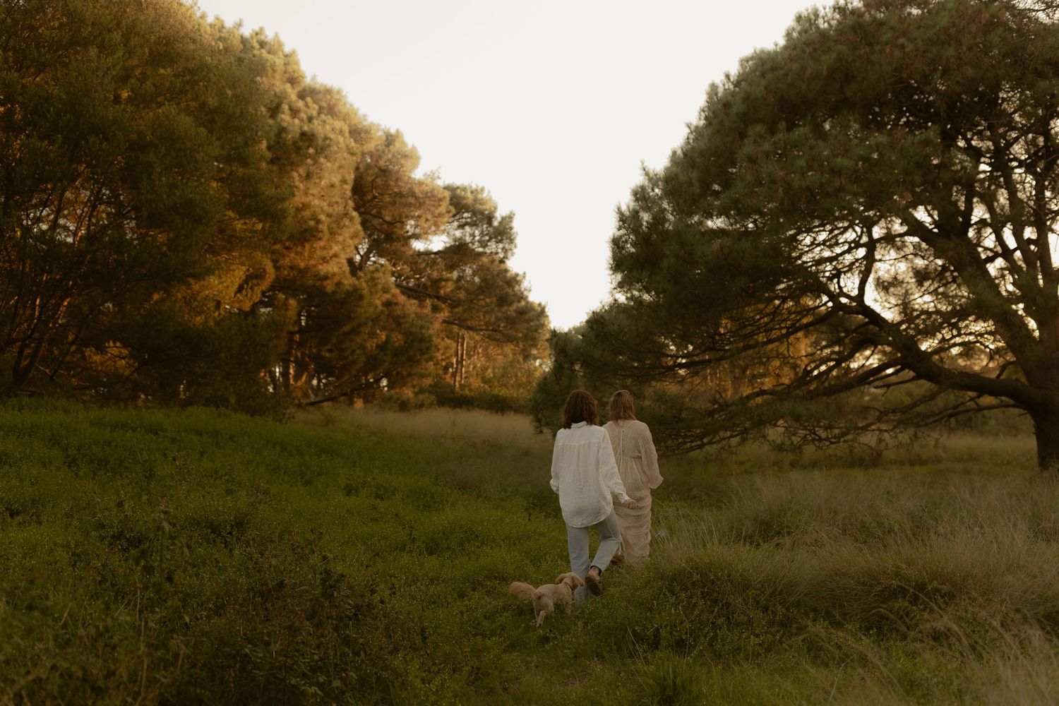Silhouetted figures walk through a golden-lit meadow at sunset with trees casting long shadows.