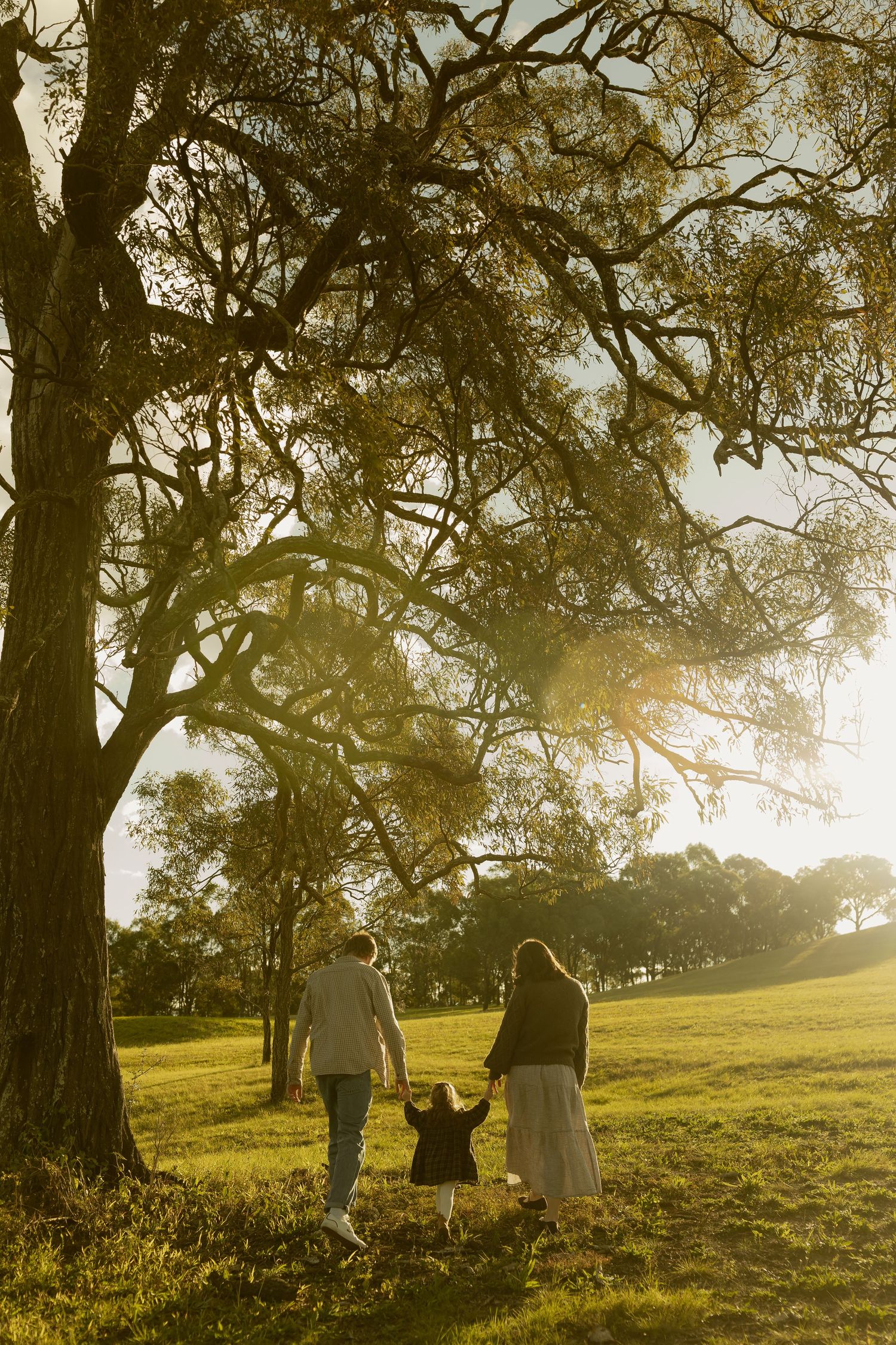 Family of three walking hand-in-hand through a sunlit park beneath a large oak tree during golden hour.