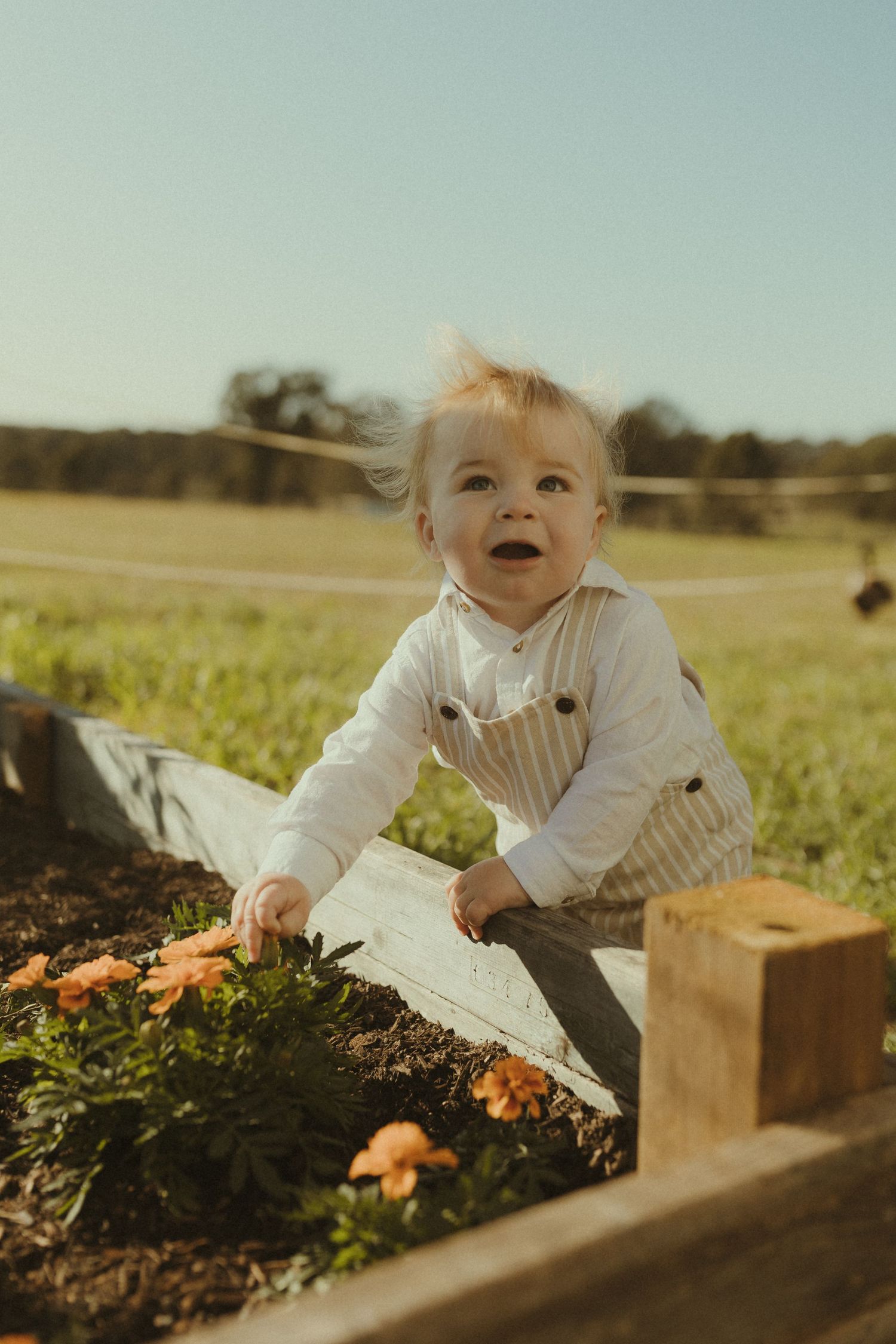 Young child explores a raised garden bed with wooden borders on a sunny day.