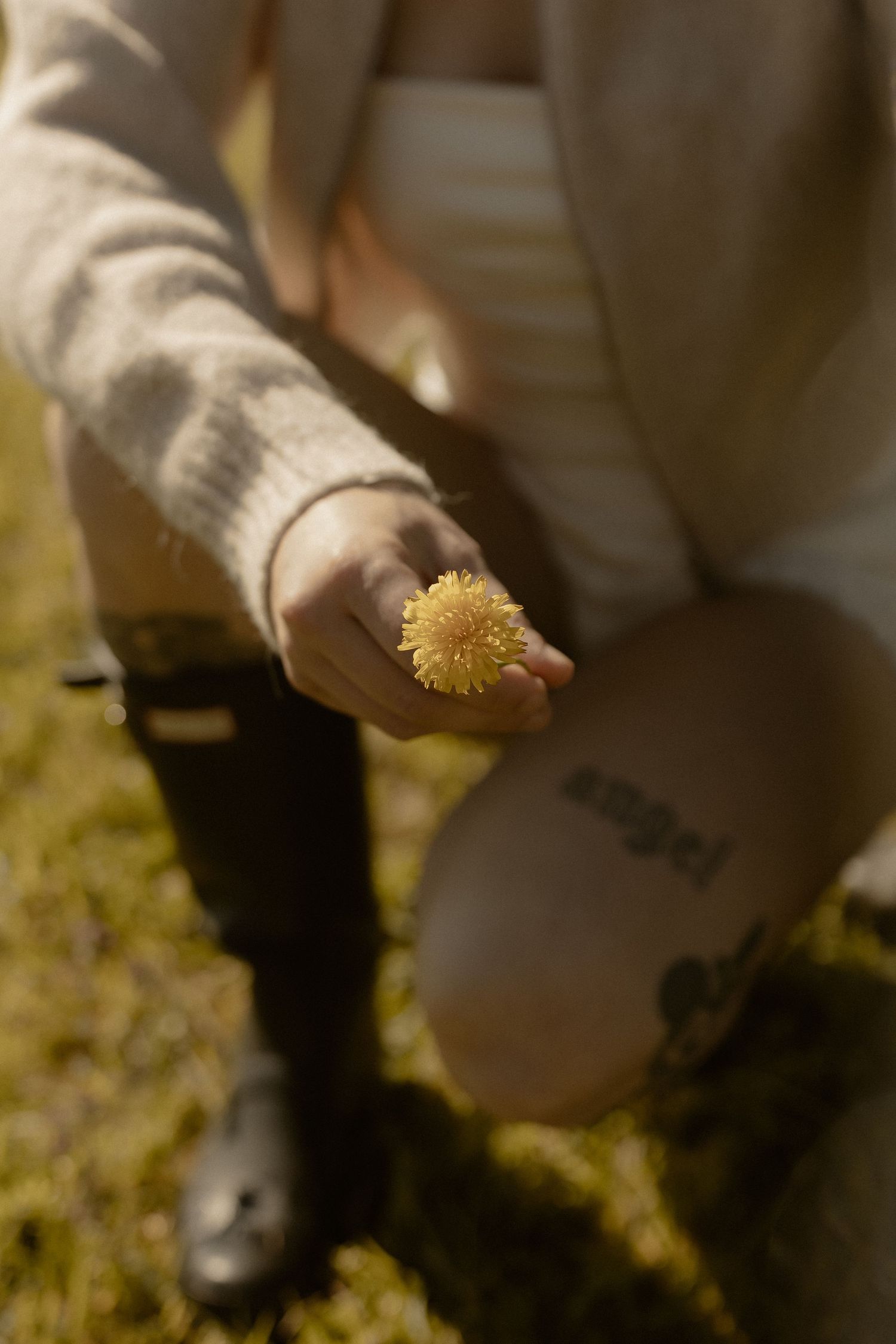 Close-up shots of hands delicately holding small dandelion flowers in natural sunlight.