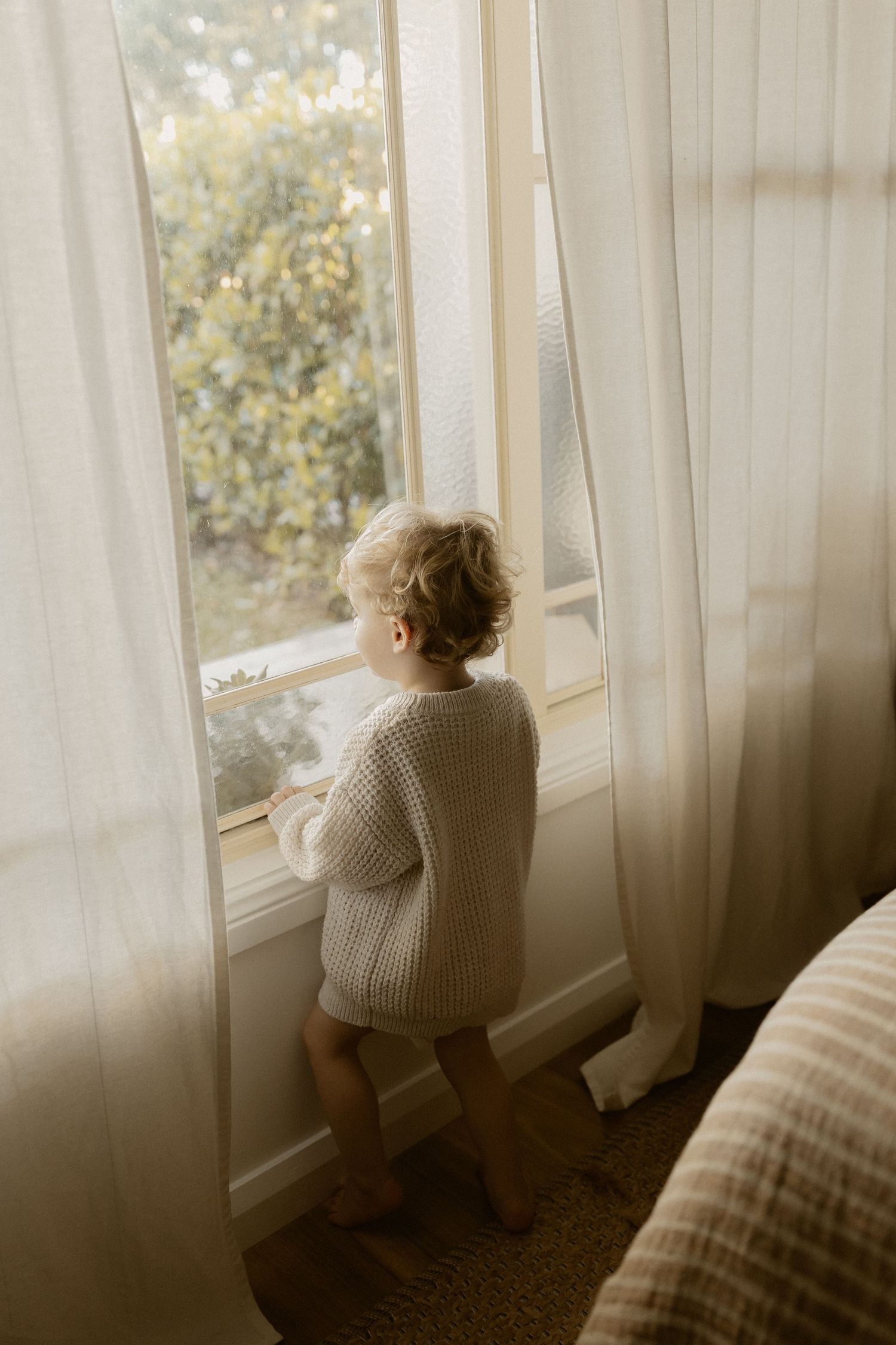 Small child in cozy knit sweater looking out bright window through sheer white curtains.