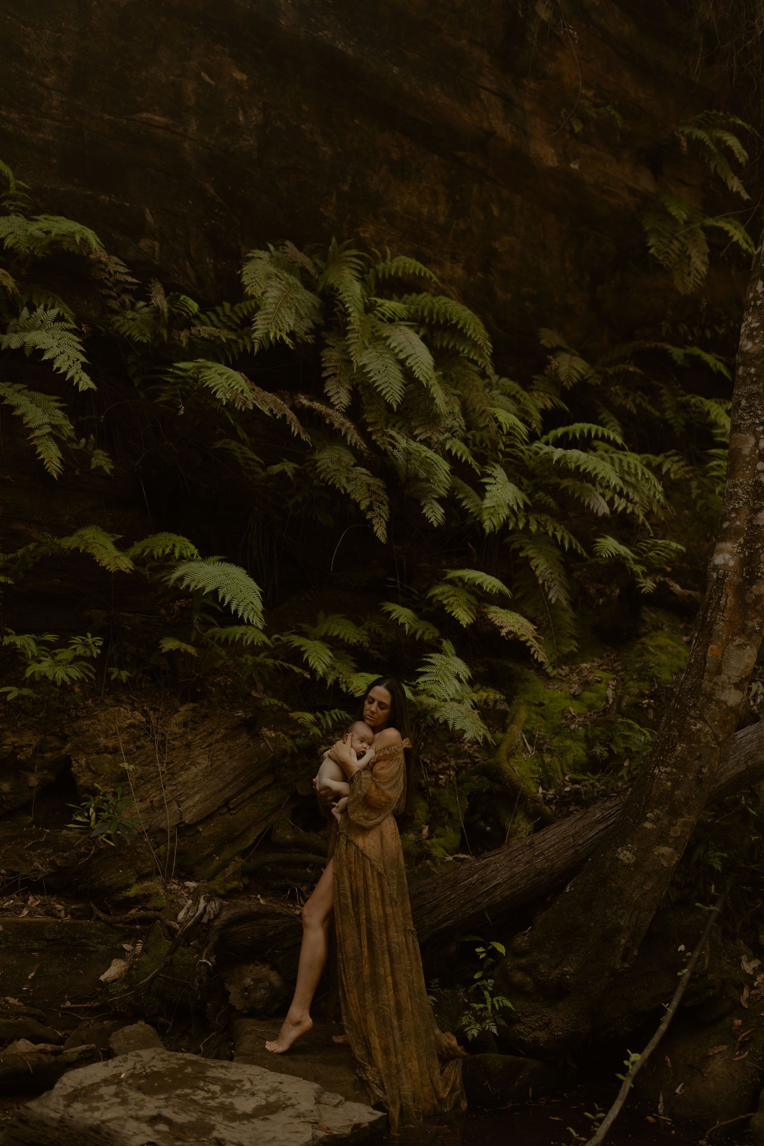 A moody forest scene with ferns and a tree stump creating a mystical natural setting.