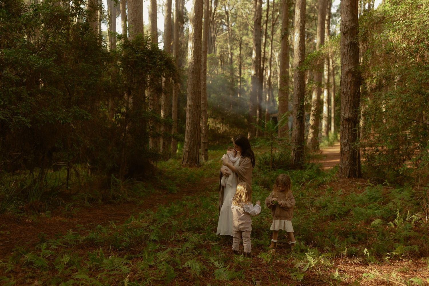 A mother and two young children stand on a forest path surrounded by tall trees and lush green ferns in soft light.