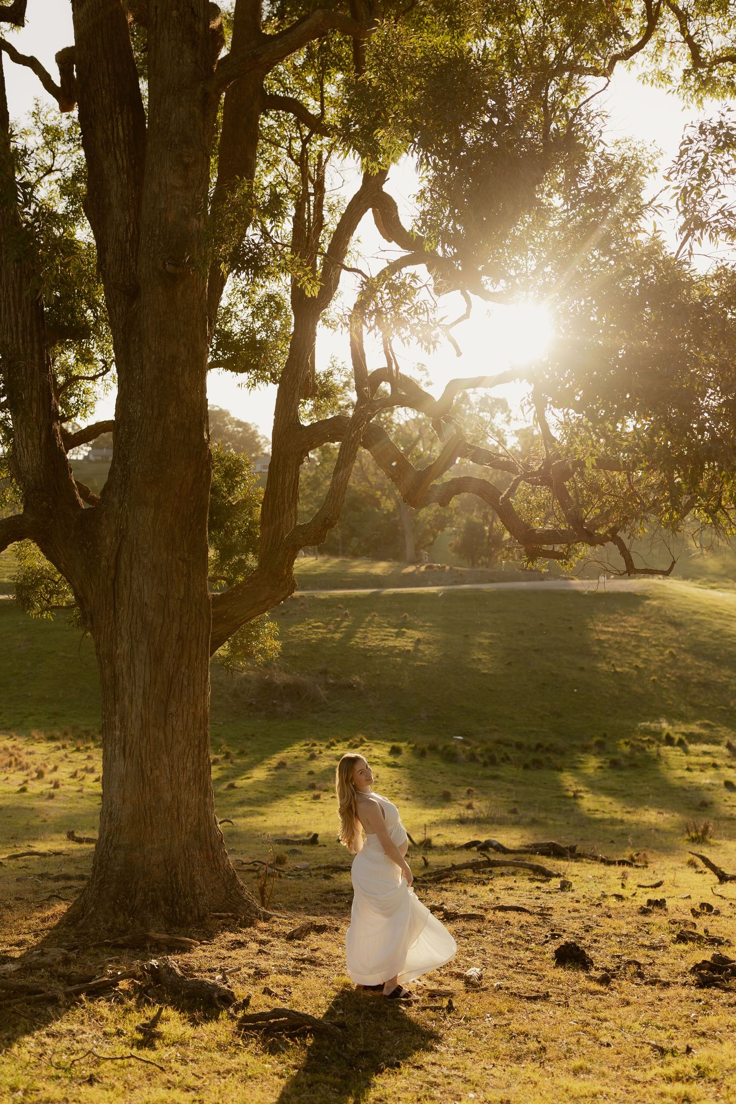 Pregnant woman in white dress standing under large oak tree in golden sunset light.