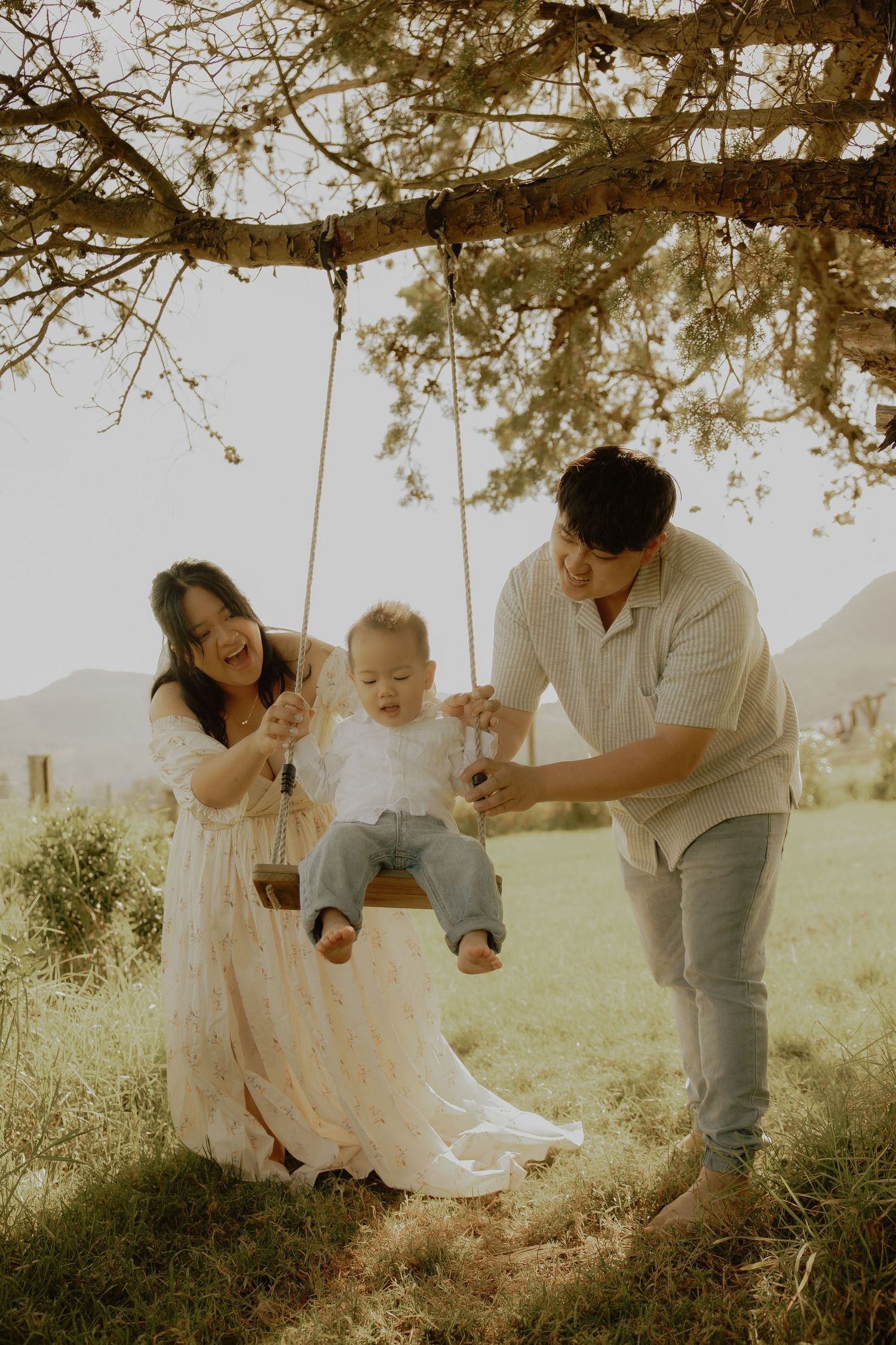 Parents smiling at baby on wooden rope swing under tree in sunny meadow.