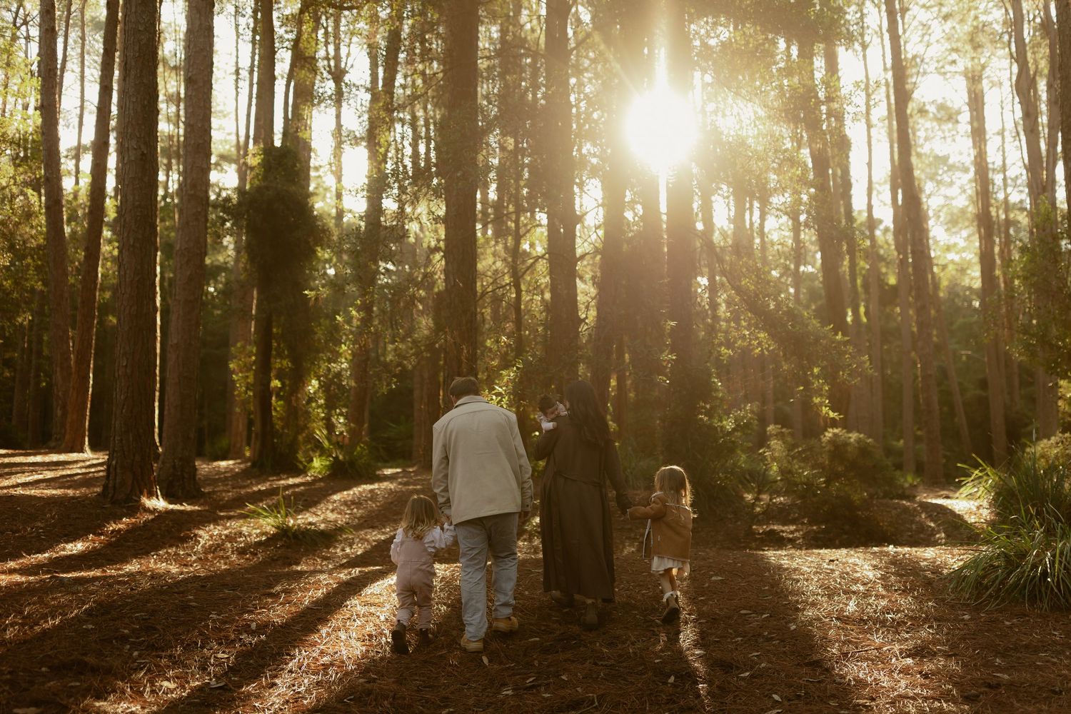 Family walking hand in hand through sun-drenched pine forest at golden hour.
