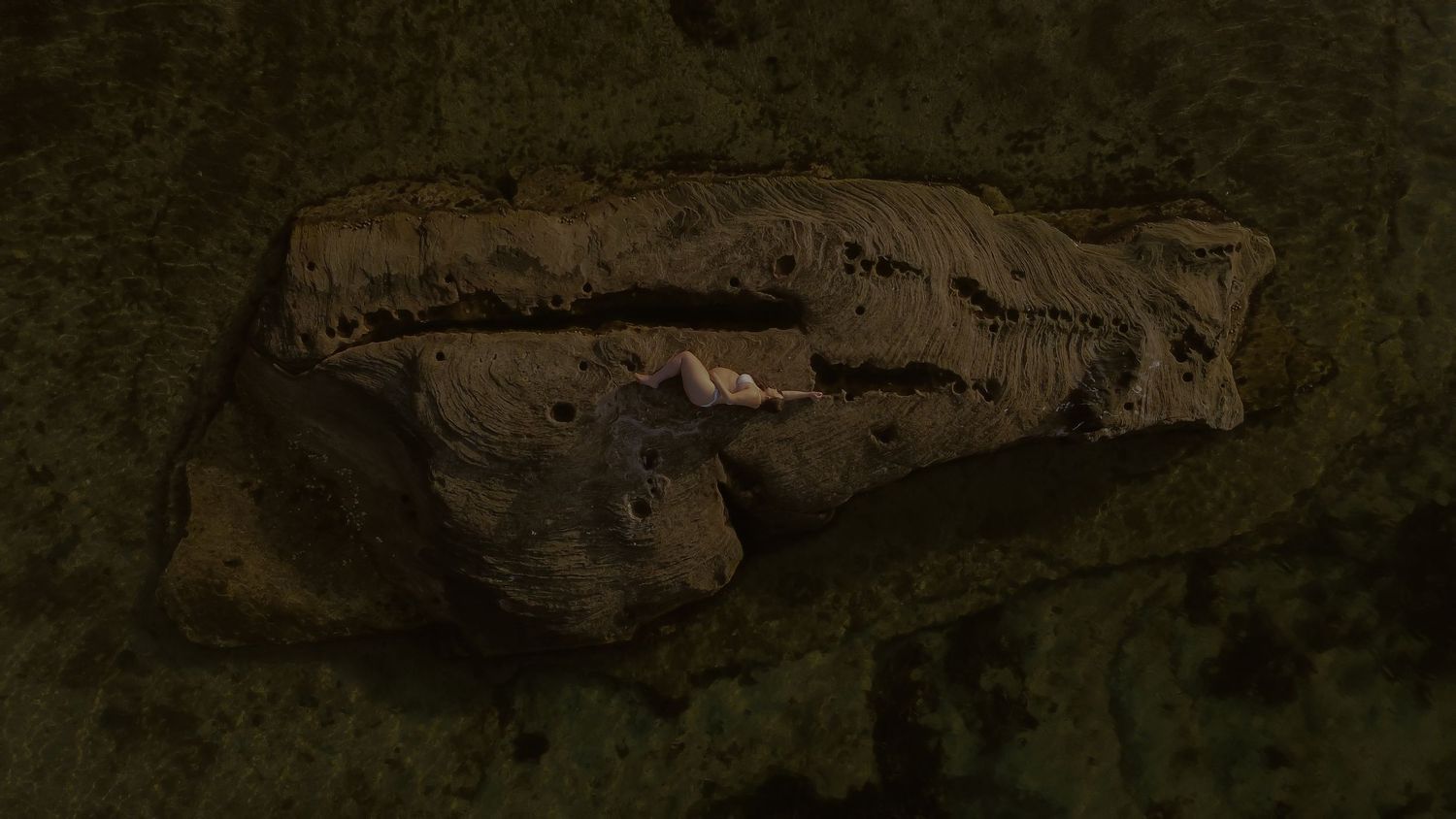A long row of dark brown wooden logs arranged horizontally against a black background.