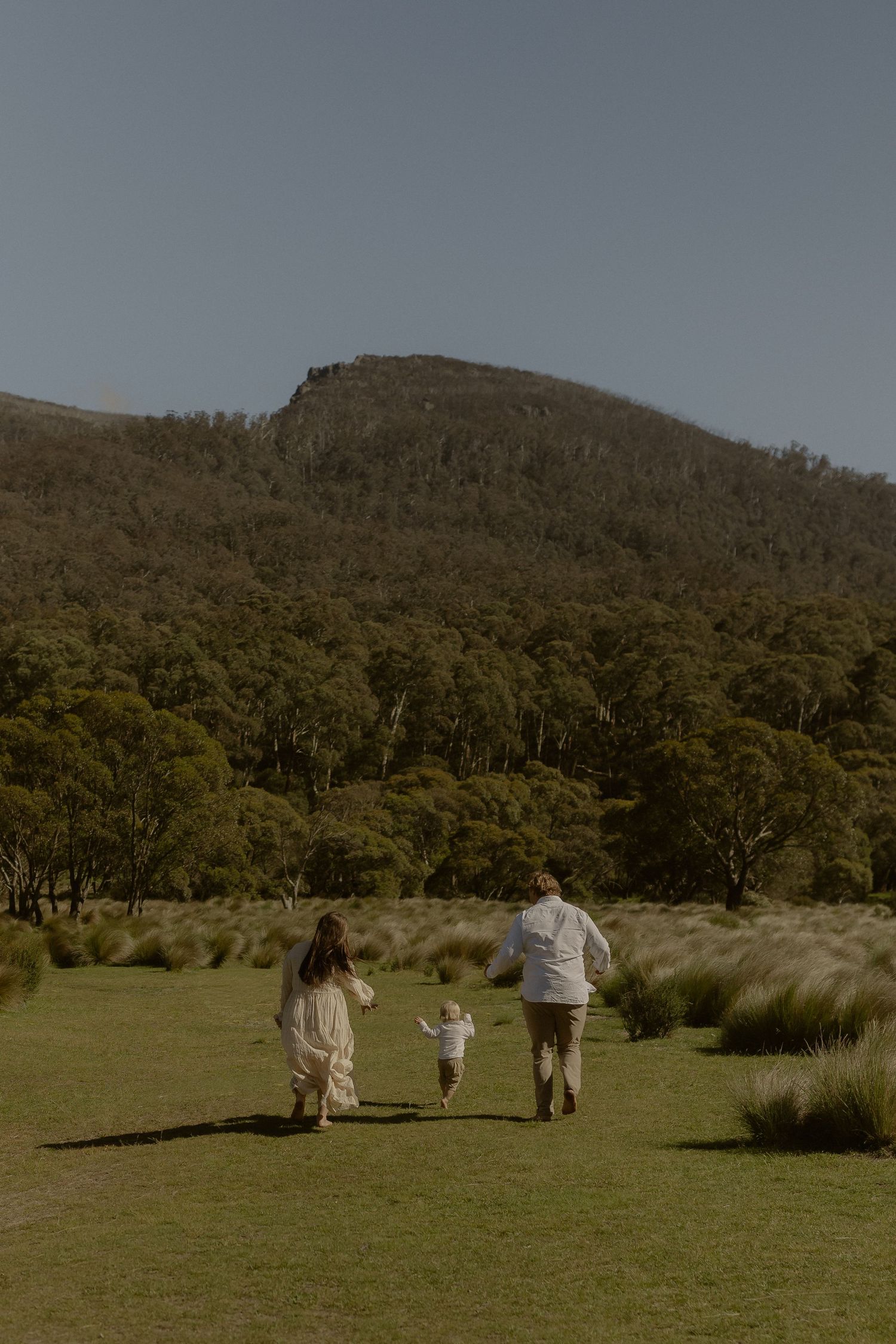 Family walking together across a scenic grassy field with mountains in the background.
