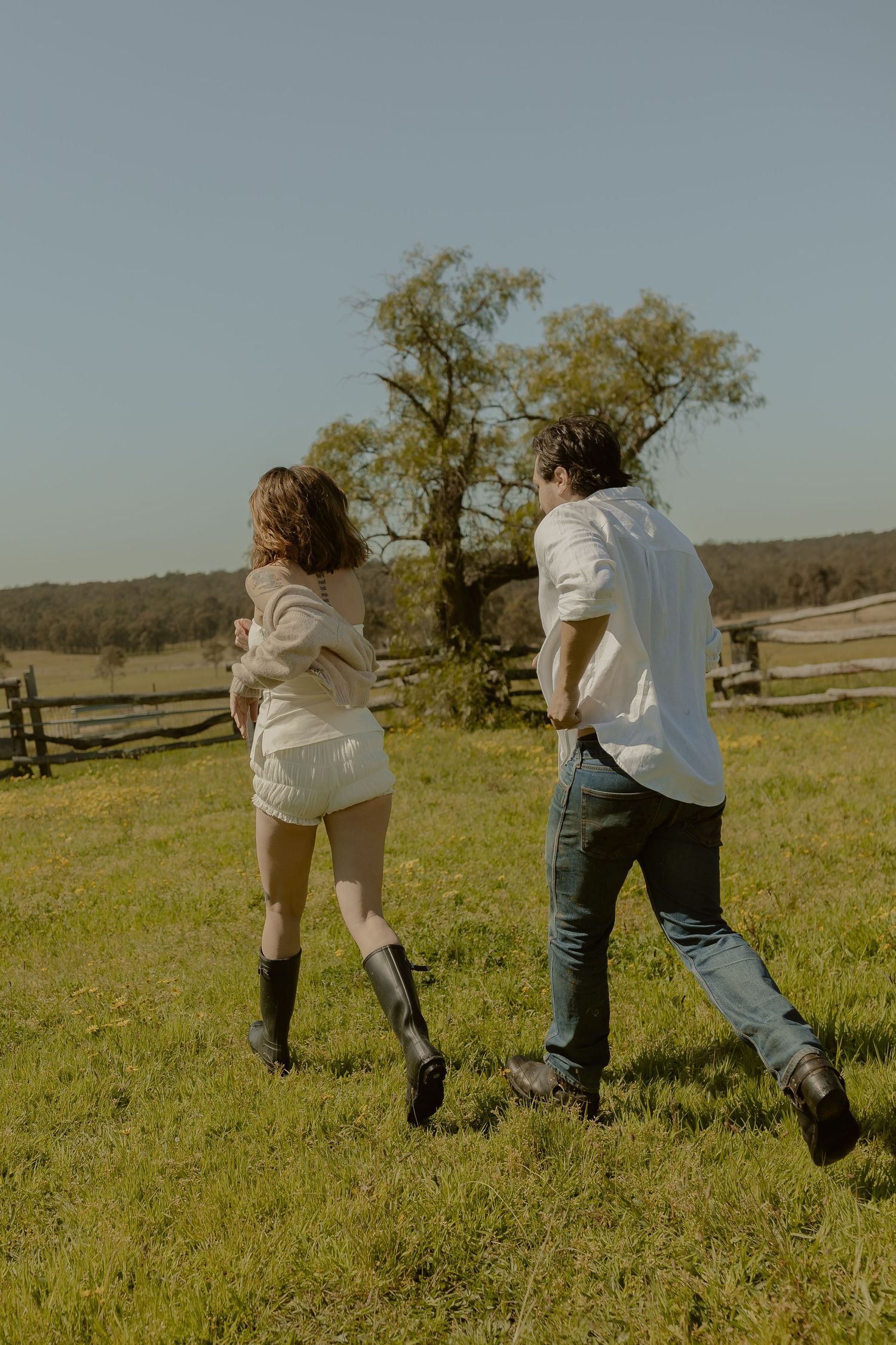 A sequence of playful movement across a sunny grassy field showing dynamic motion and dance.