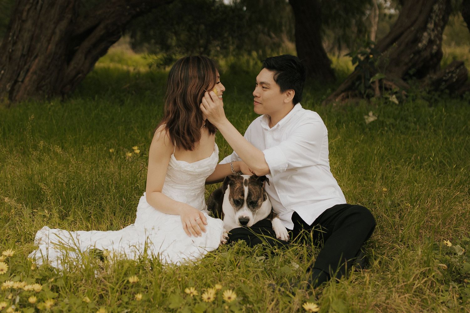 A couple sits in a grassy field under trees with their brown and white dog during an outdoor photo session.