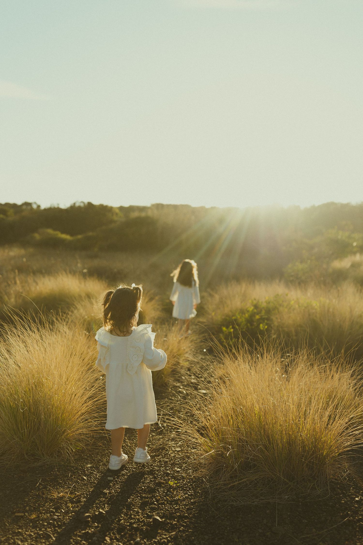 Children walking through tall grass field at sunset creating silhouettes against golden light.