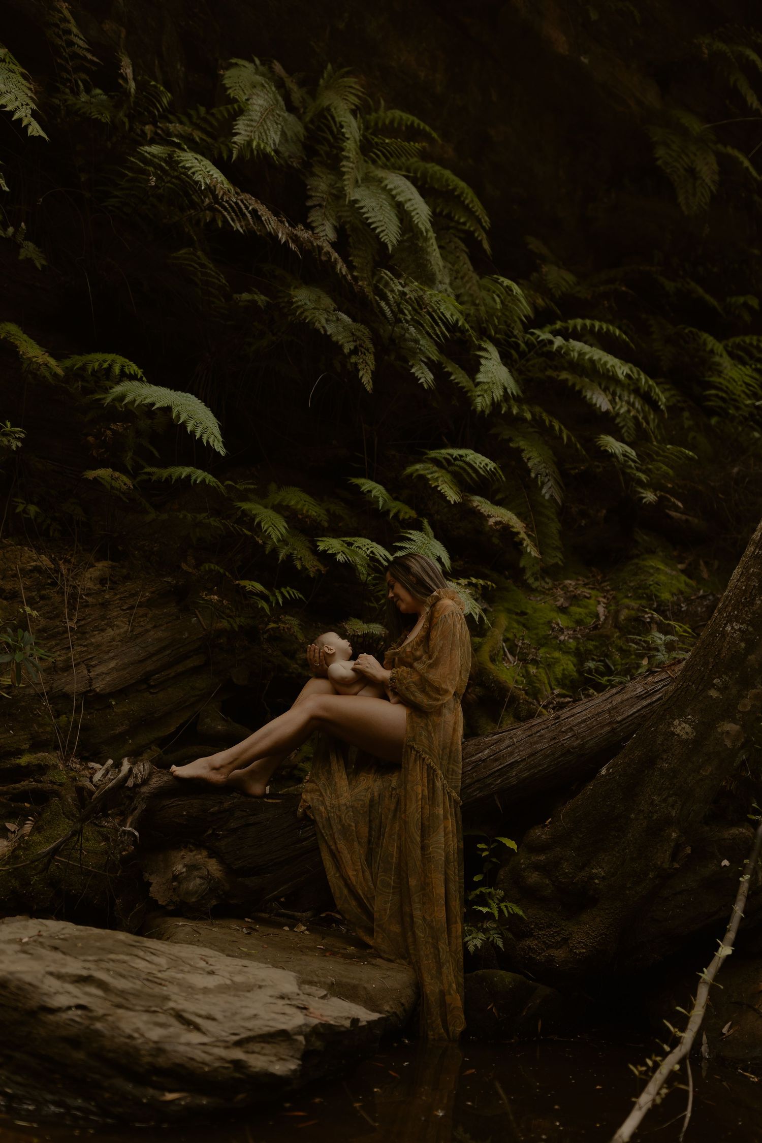 Dark atmospheric forest setting with fallen logs and ferns creating a mystical woodland scene.