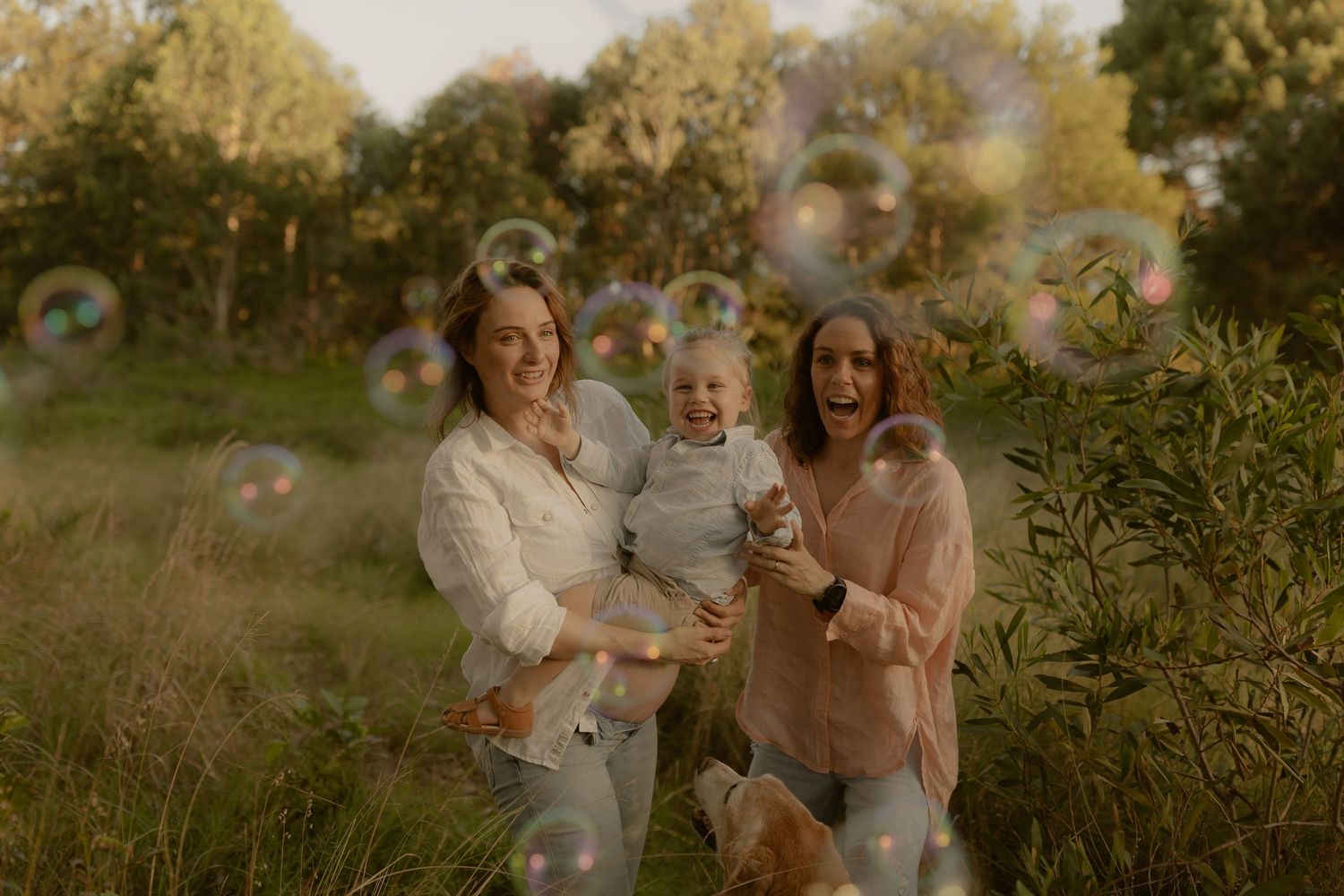 A joyful family gathering in a golden-lit field during sunset creates candid moments together.